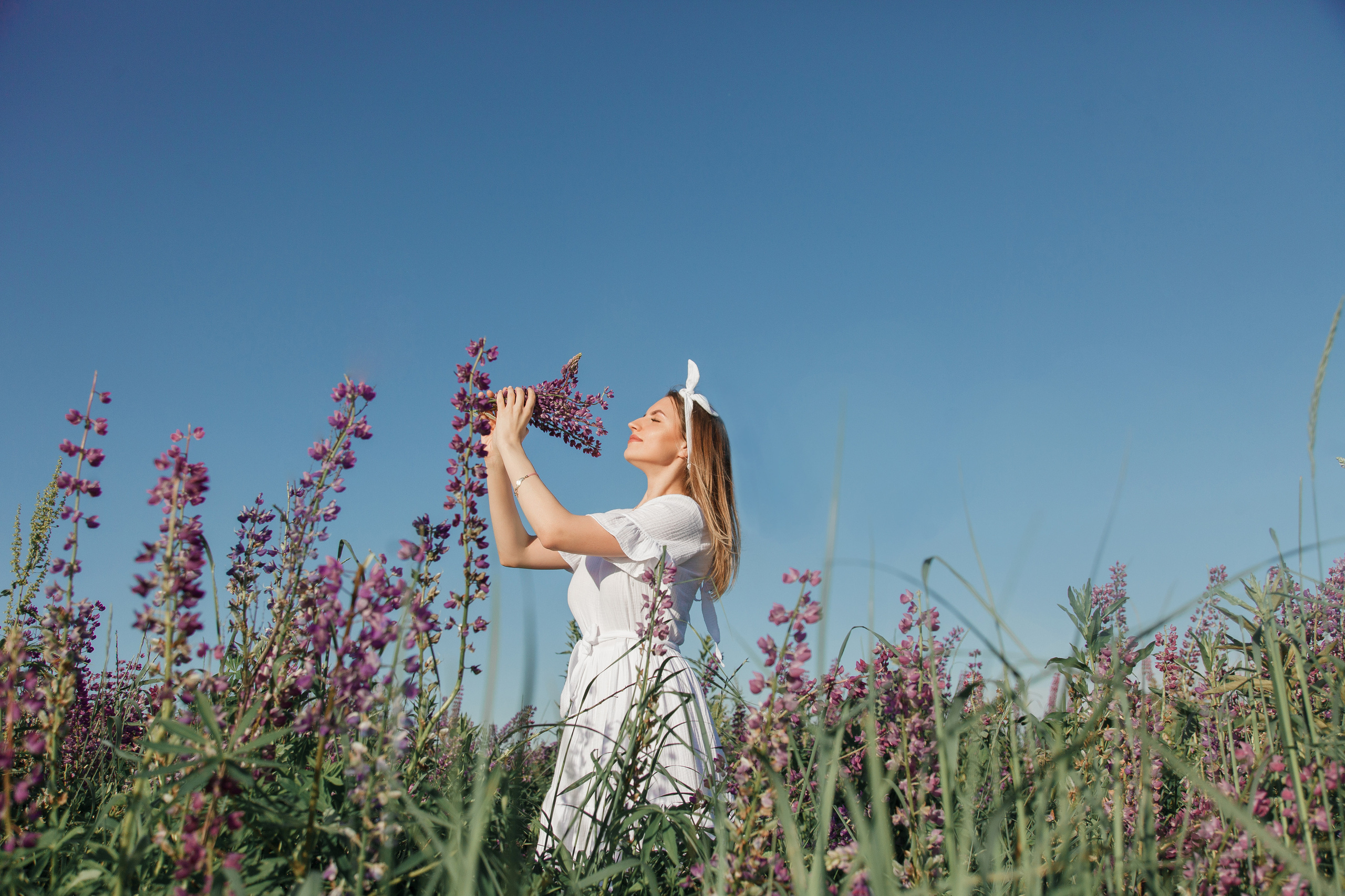 Семейная фотосессия в люпиновом поле в Новой Москве. Фотограф Александра Сыщенко