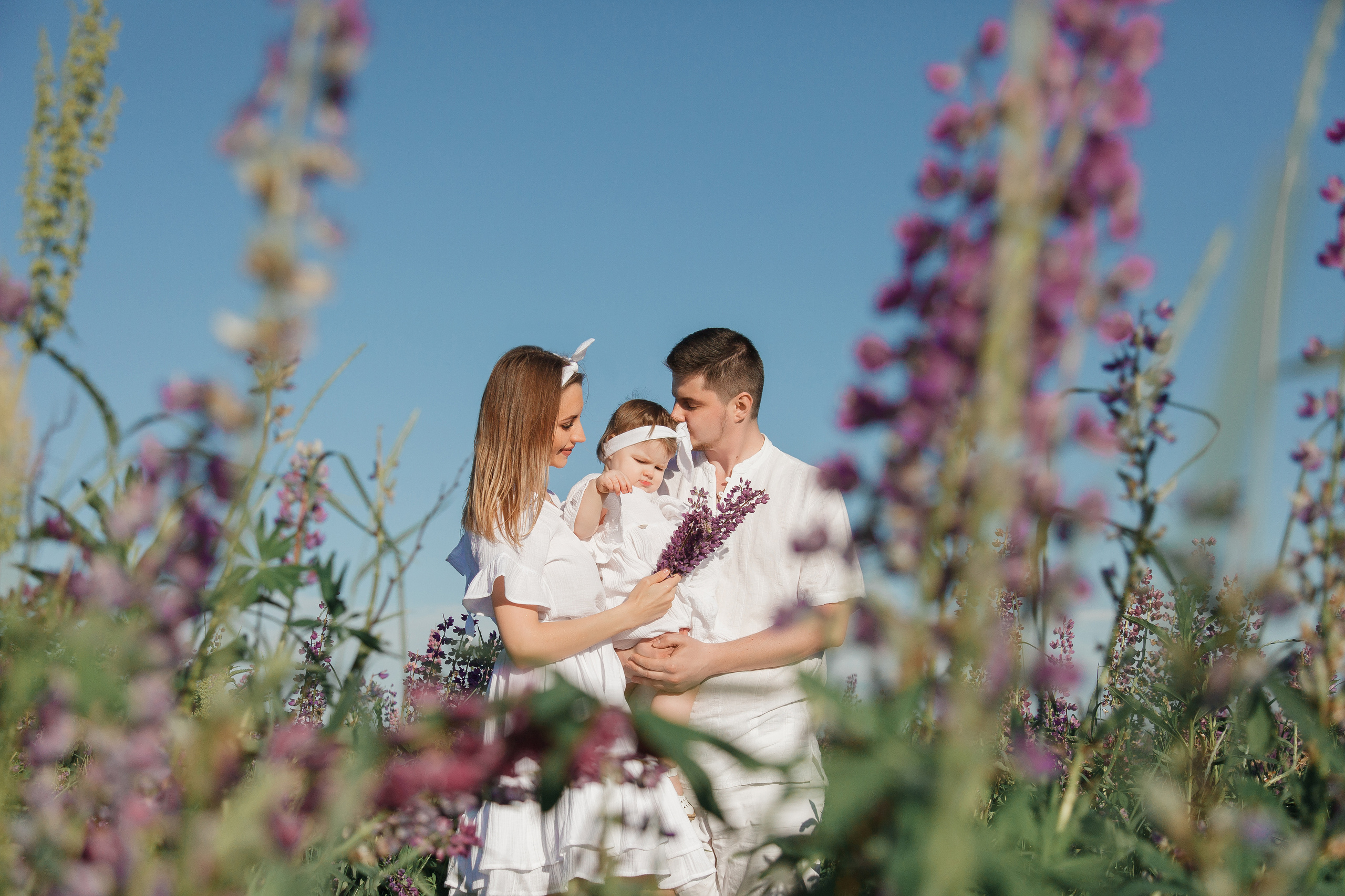 Семейная фотосессия в люпиновом поле в Новой Москве. Фотограф Александра Сыщенко