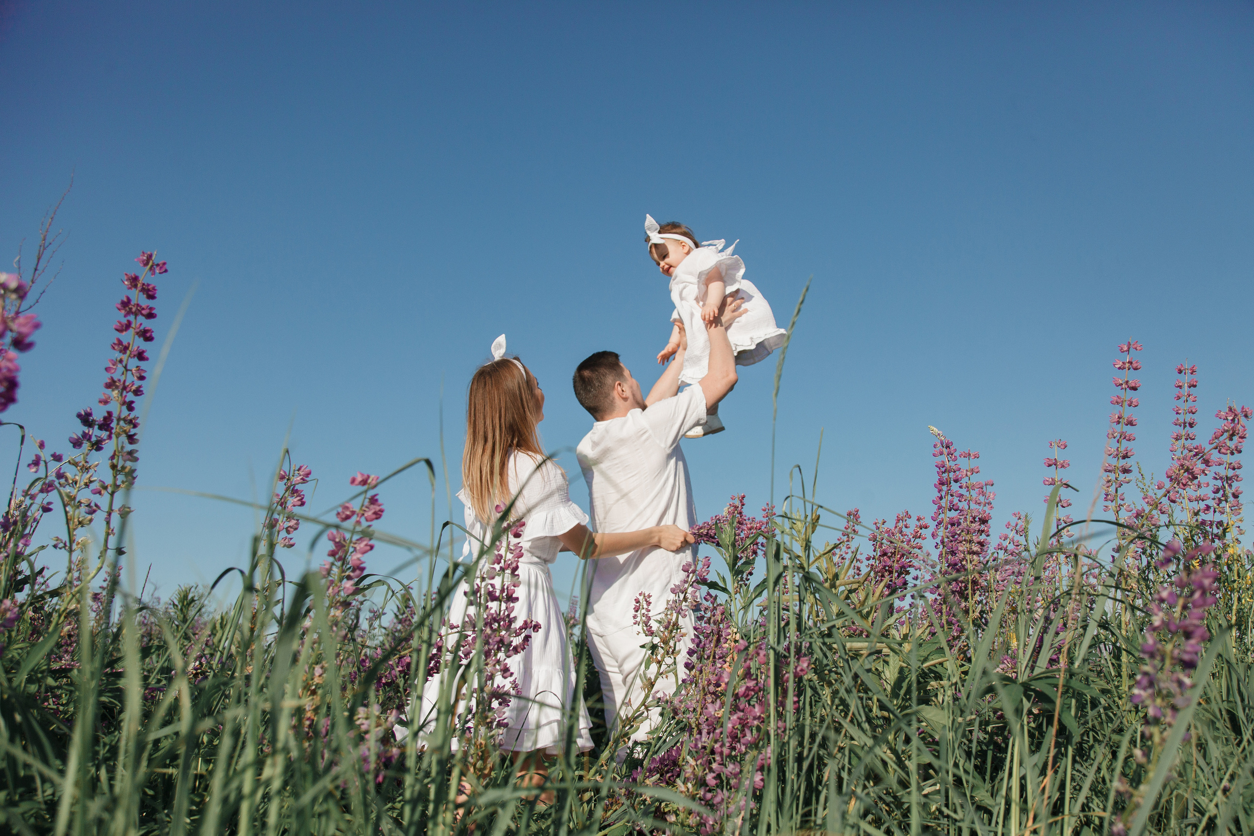 Семейная фотосессия в люпиновом поле в Новой Москве. Фотограф Александра Сыщенко