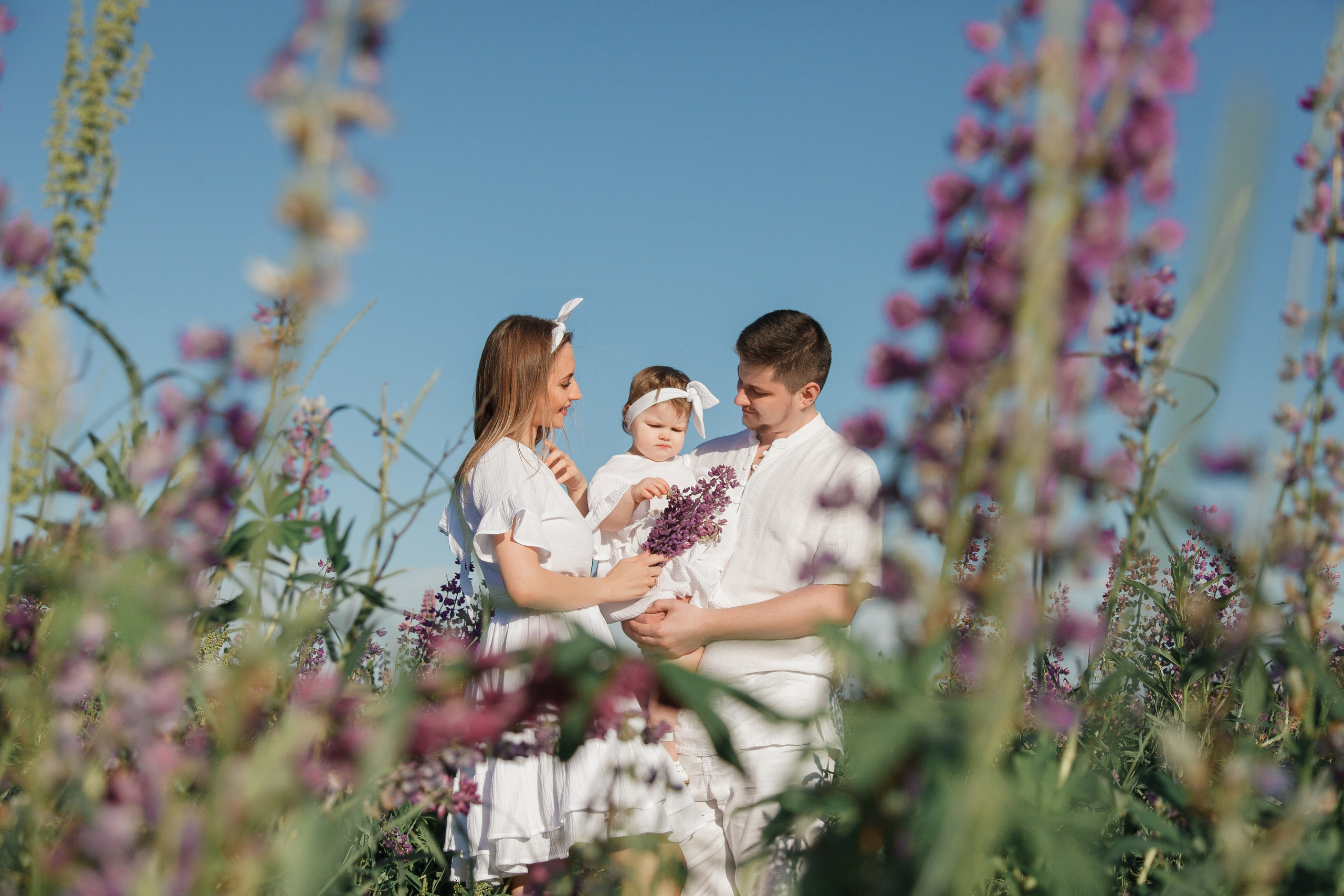 Семейная фотосессия в люпиновом поле в Новой Москве. Фотограф Александра Сыщенко