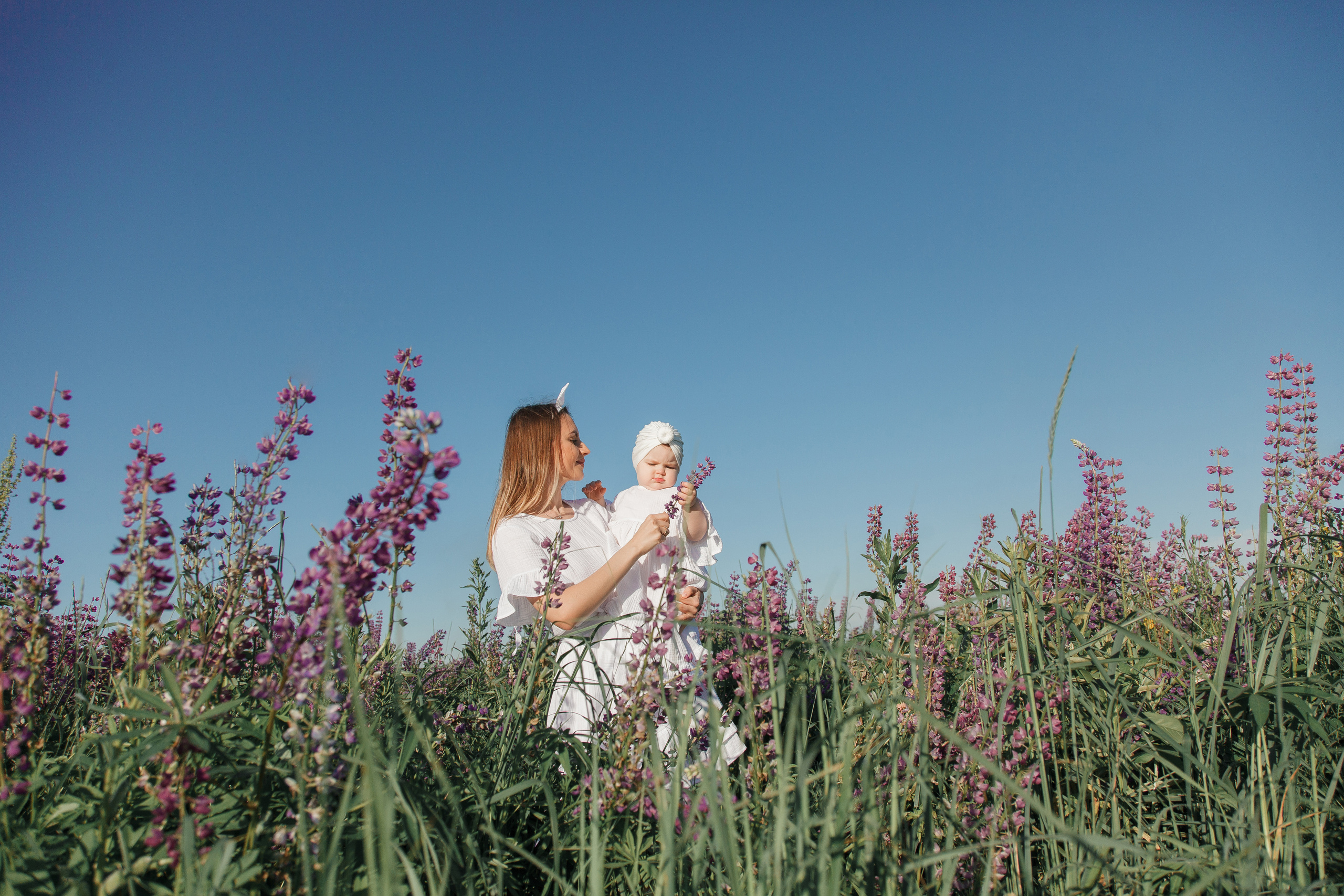 Семейная фотосессия в люпиновом поле в Новой Москве. Фотограф Александра Сыщенко