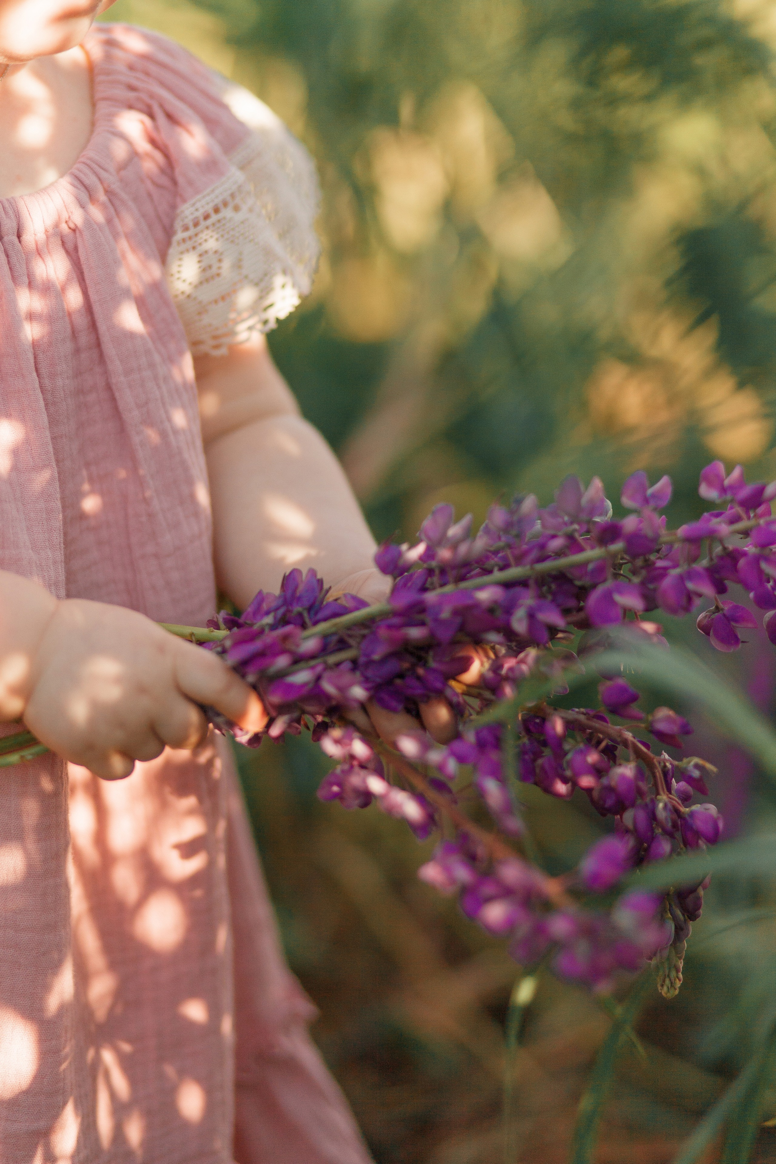 Семейная фотосессия в люпиновом поле в Новой Москве. Фотограф Александра Сыщенко