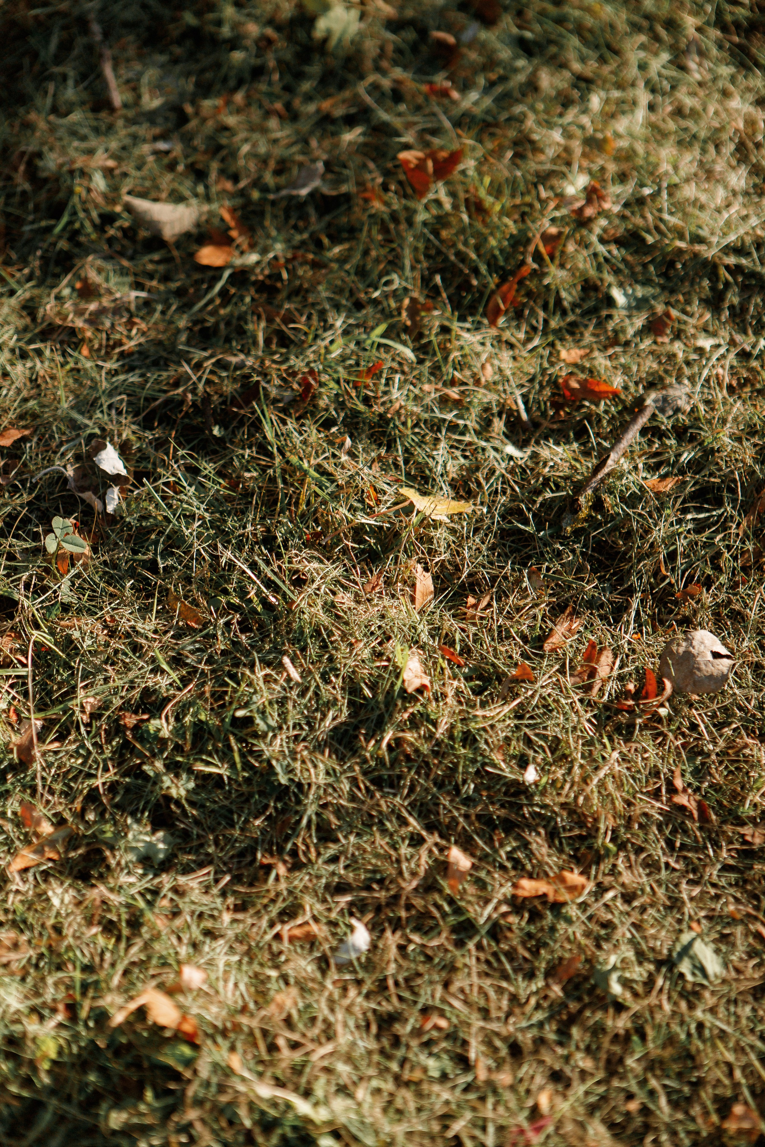 Осенняя съемка для Екатерины. Фотограф Анастасия Кулешова