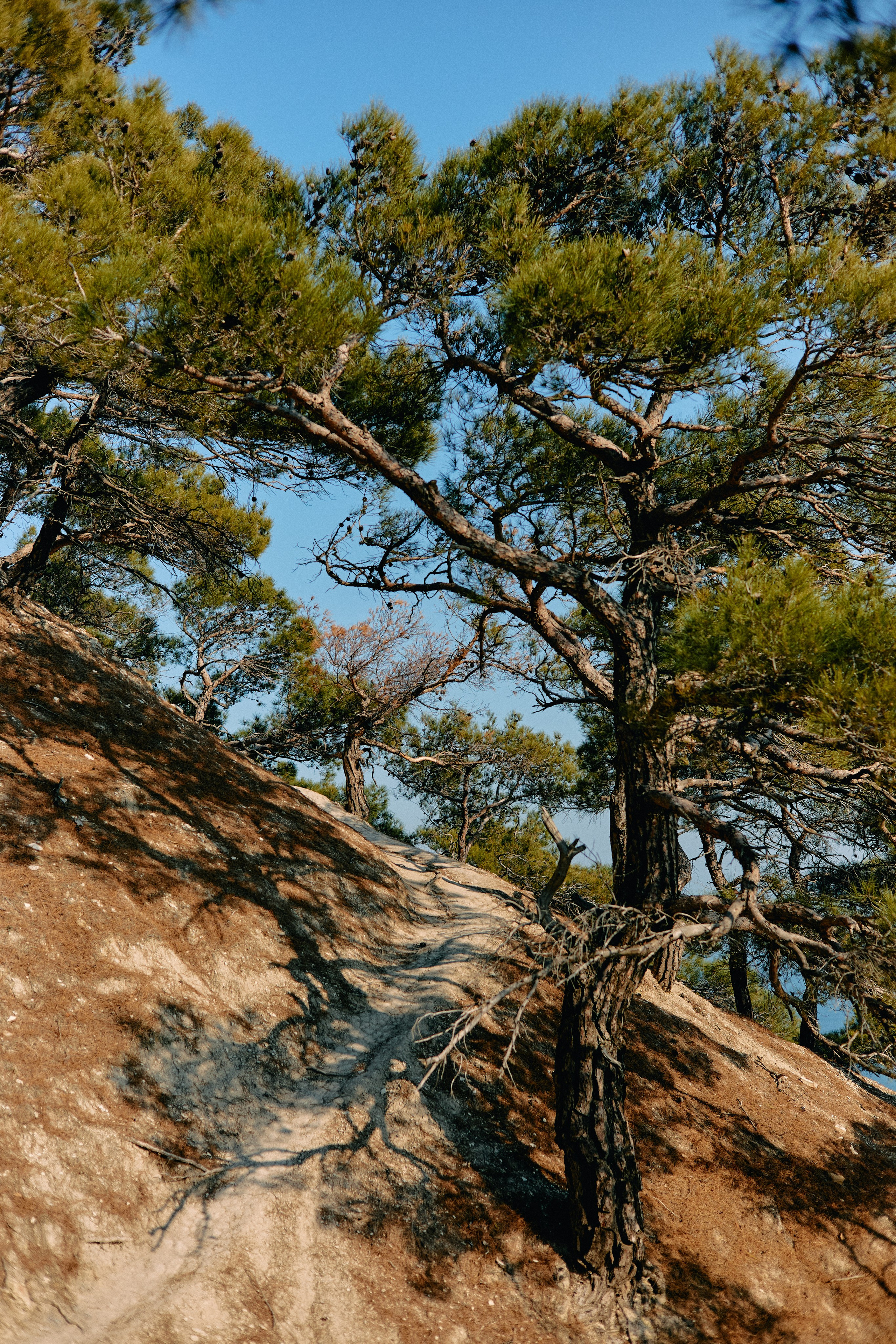 Юг России. Профессиональный Фотограф во Владимире, в Москве и в Суздале — Полина Романычева