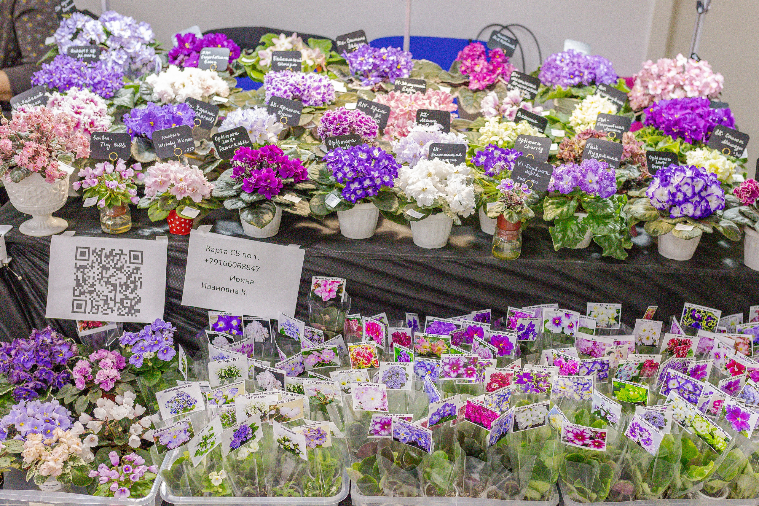 Монстериум апрель 2026. Александра Куликова фотограф, Москва