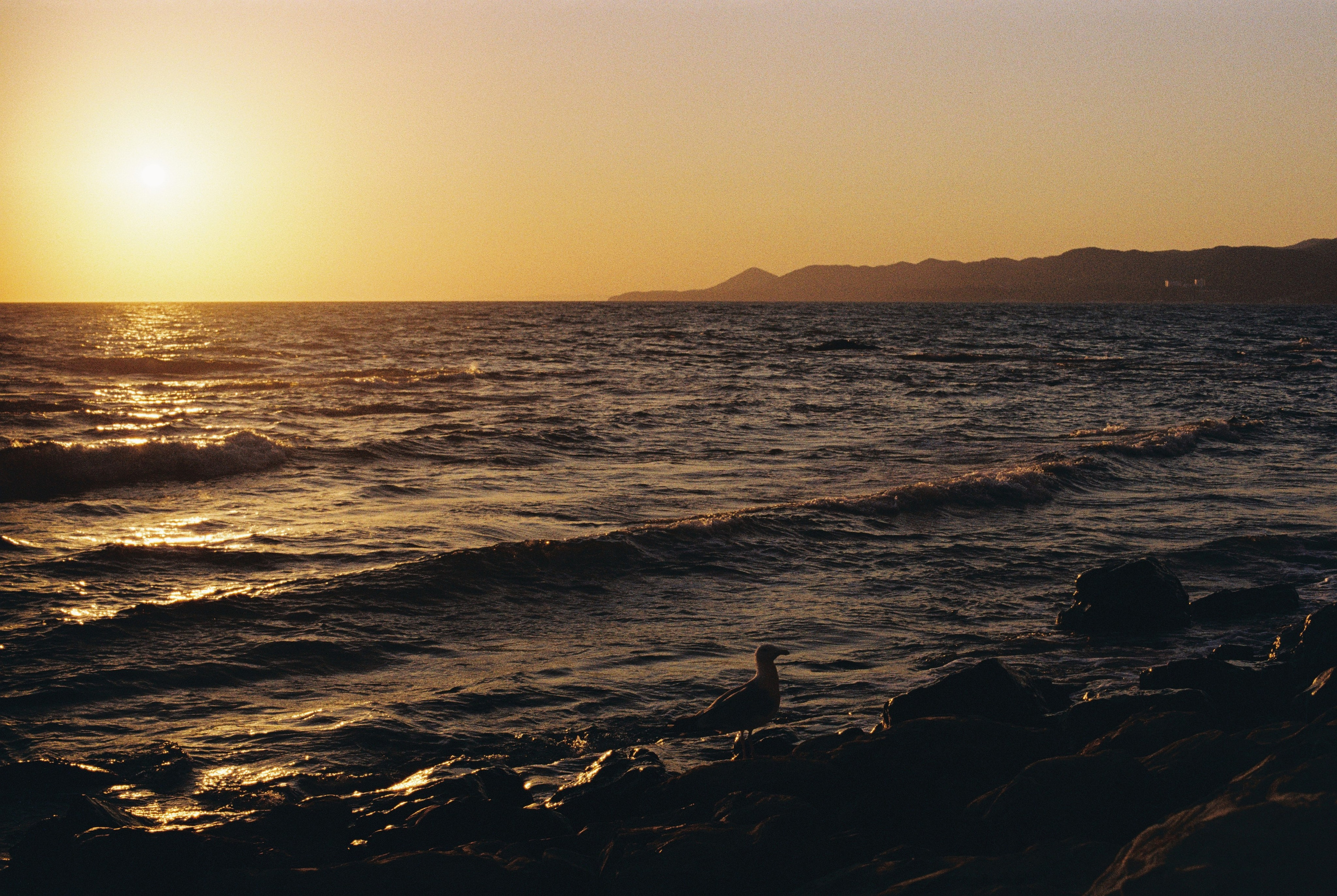 EXHIBITION. Репортажный и интерьерный фотограф, фотохудожник
