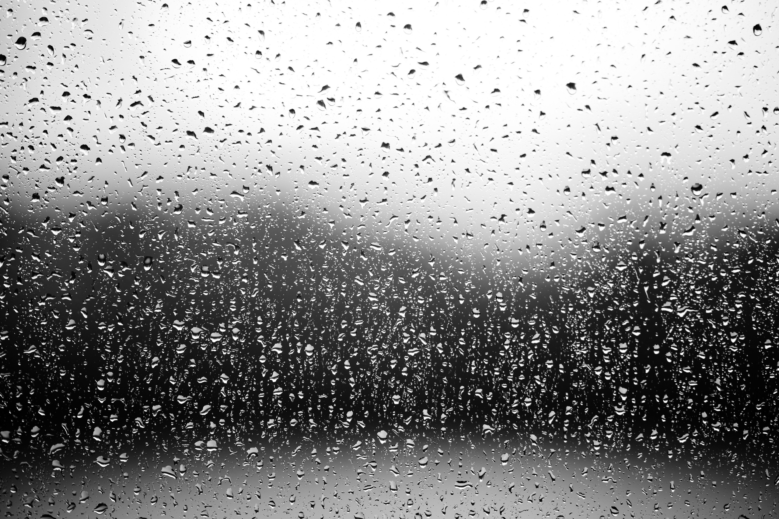 Strelka Bar. Фотограф