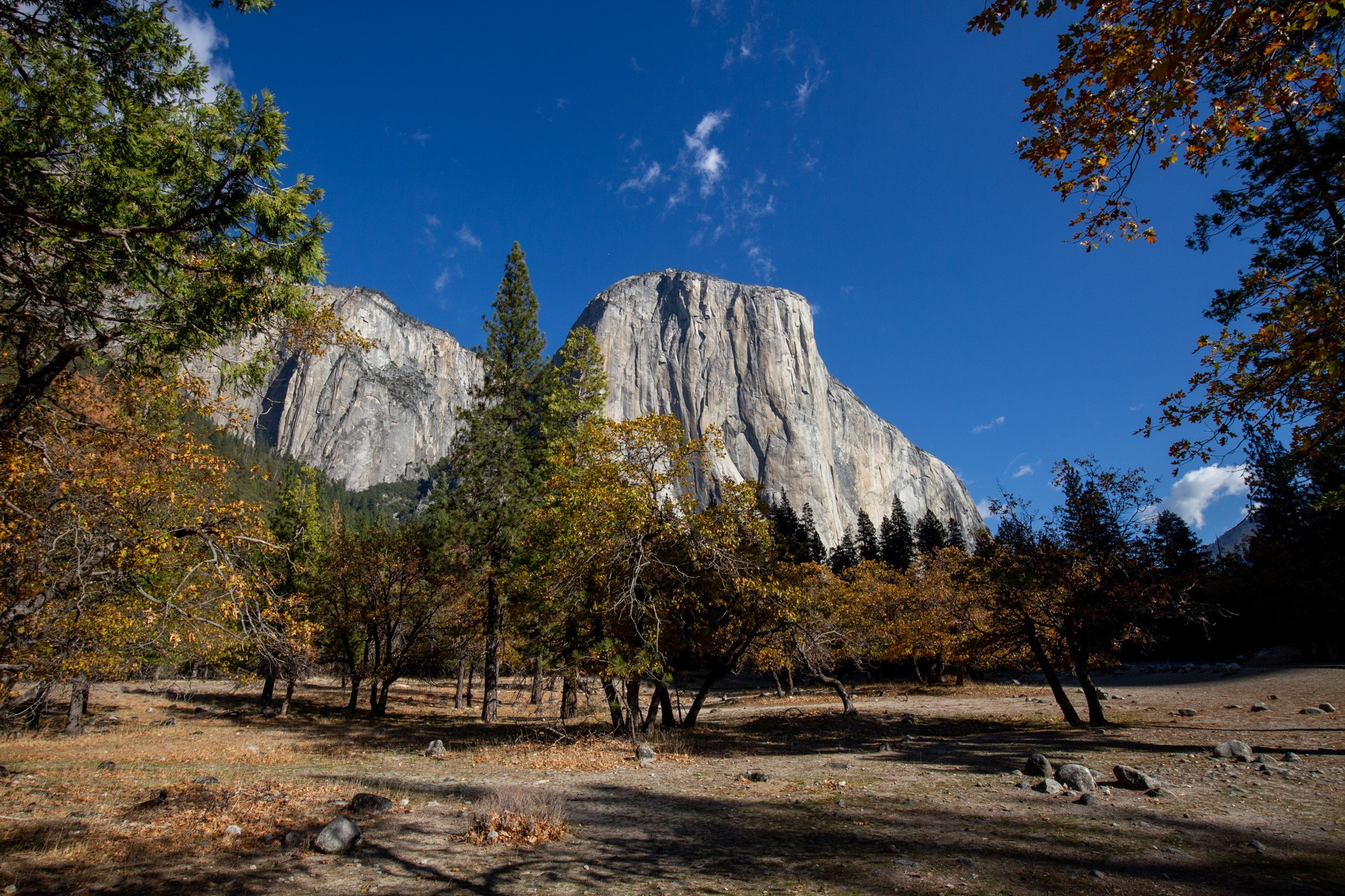 Парк Yosemite, США, 2013. Фотограф Василий Буланов