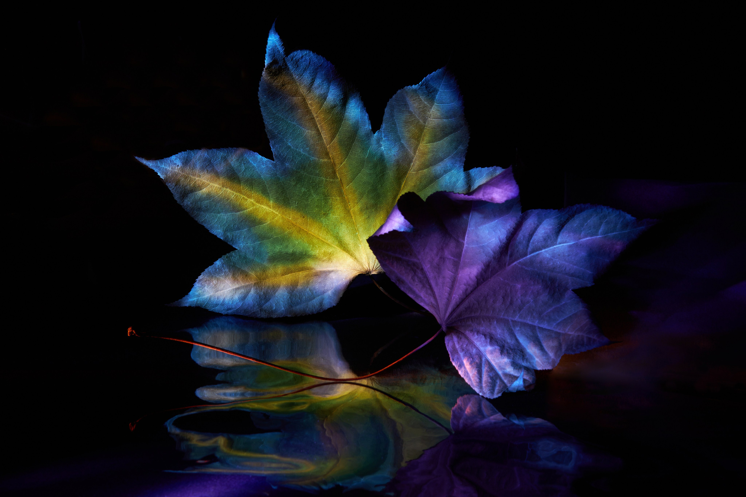 «Красок Тьма Полна». Арт-фотограф во Владивостоке Дмитрий Осипчук