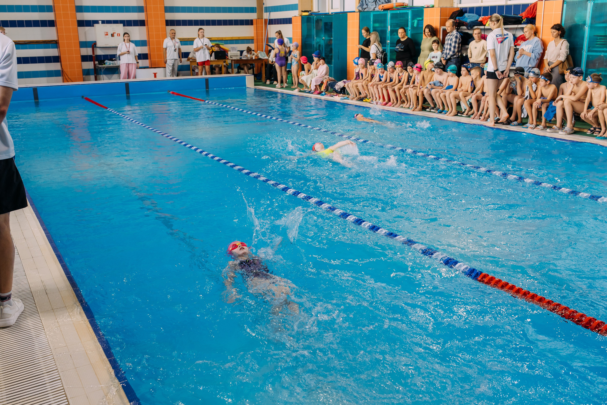 Соревнования по плаванию. Семейный фотограф в Волгограде Надежда Головко