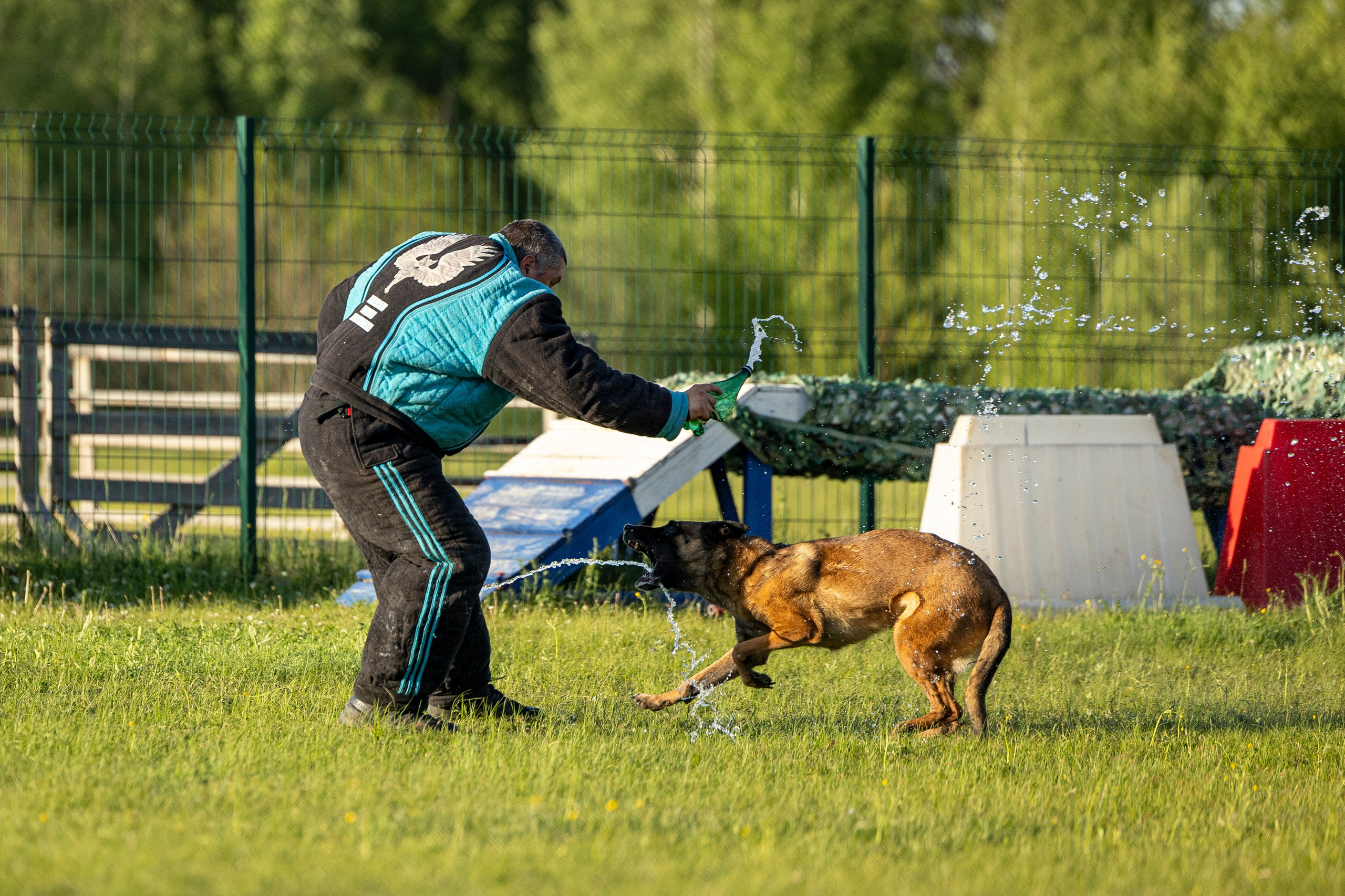 Испытания по мондьорингу в Нижнем Новгороде. Фотограф-анималист Анна Маринич