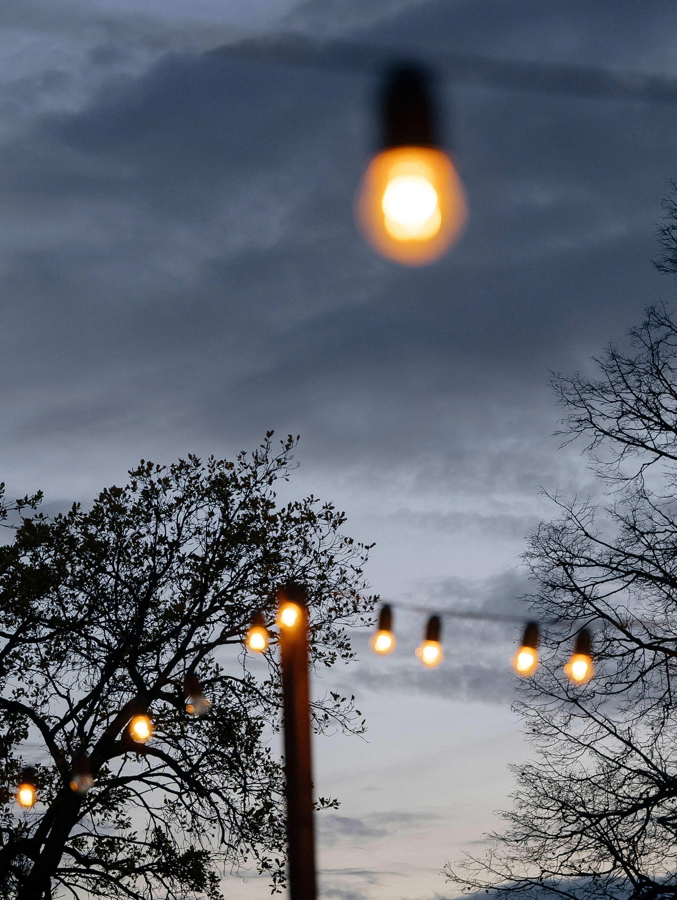 Р Фарм. Свадебный фотограф