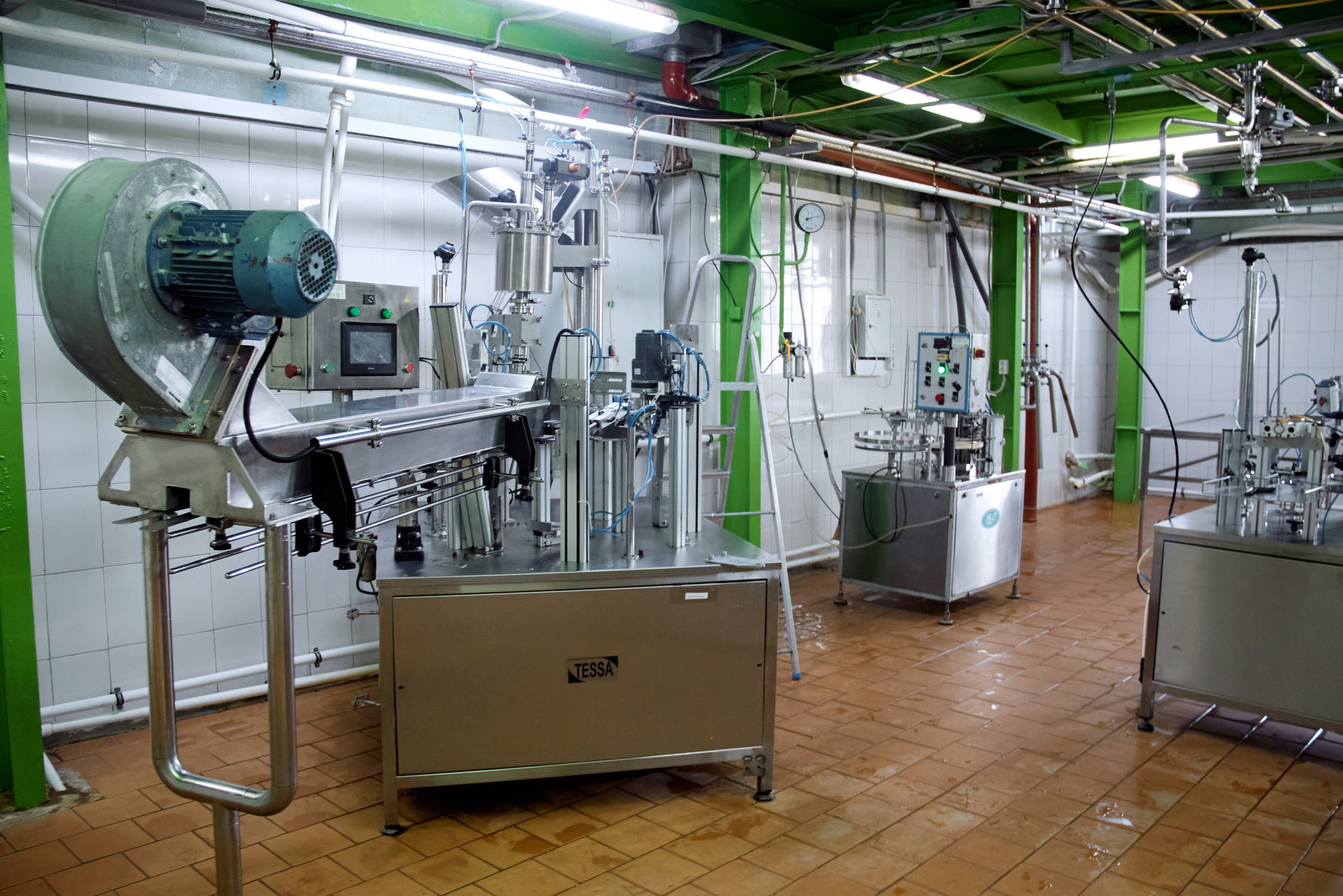 Экскурсия «Агроферма-Катынь». Фотограф в Смоленске Ася Польшина