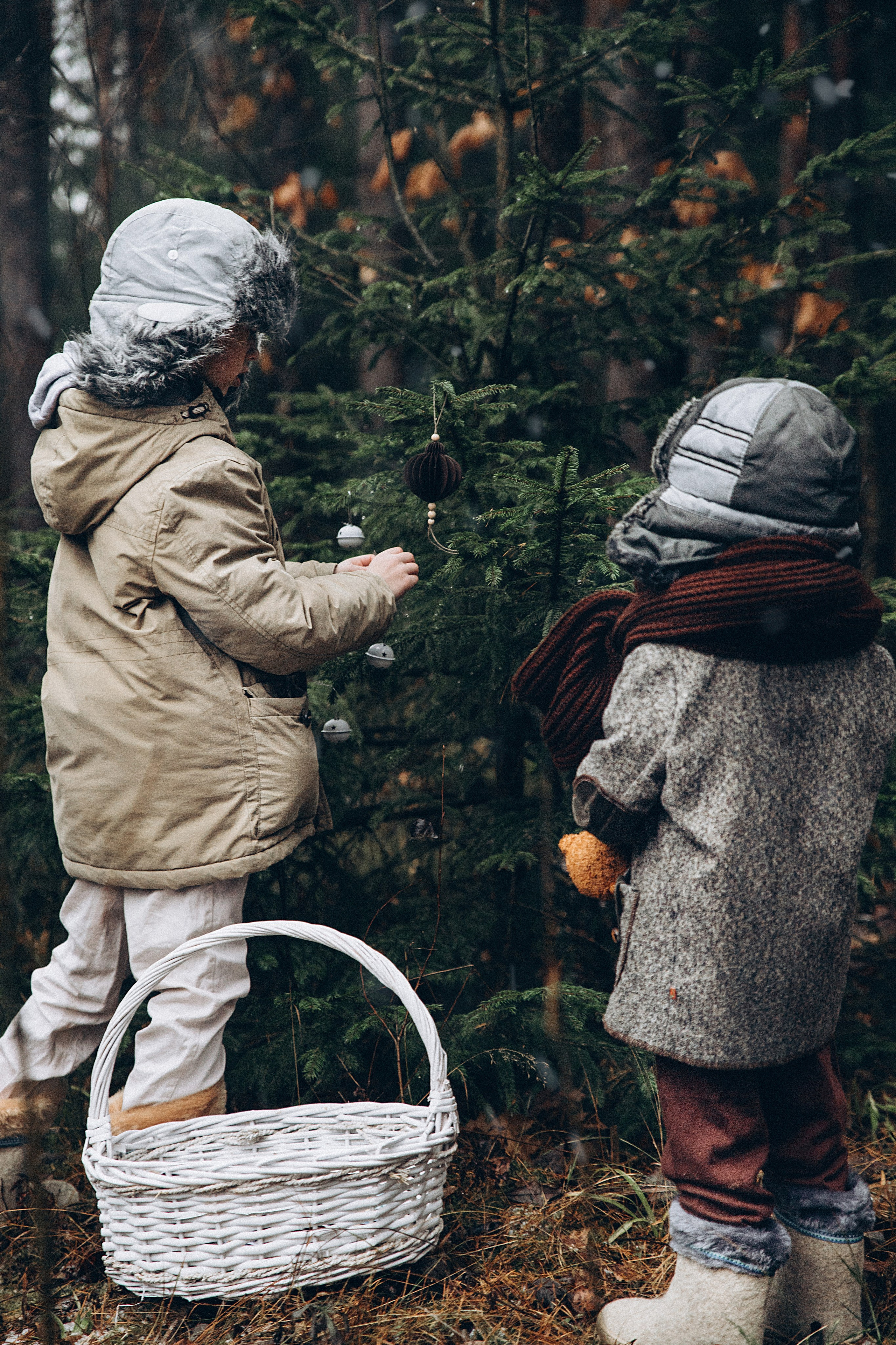 Елка в лесу. Репортажный и детский фотограф в Минске