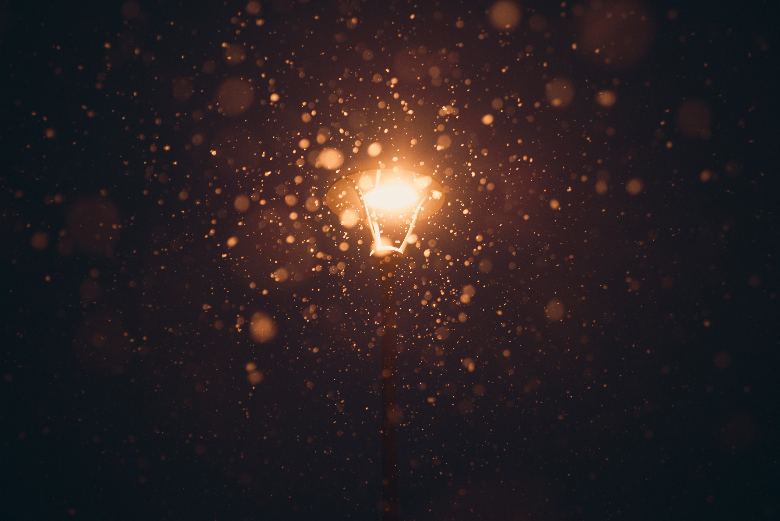 Другое. Свадебный фотограф Копков Геннадий