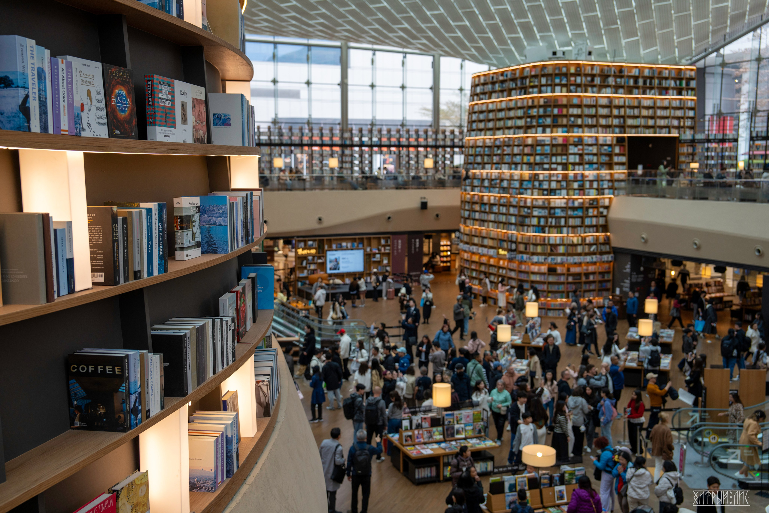 Южная Корея. Фотограф-путешественник Самойлов Максим «Sly Fox»