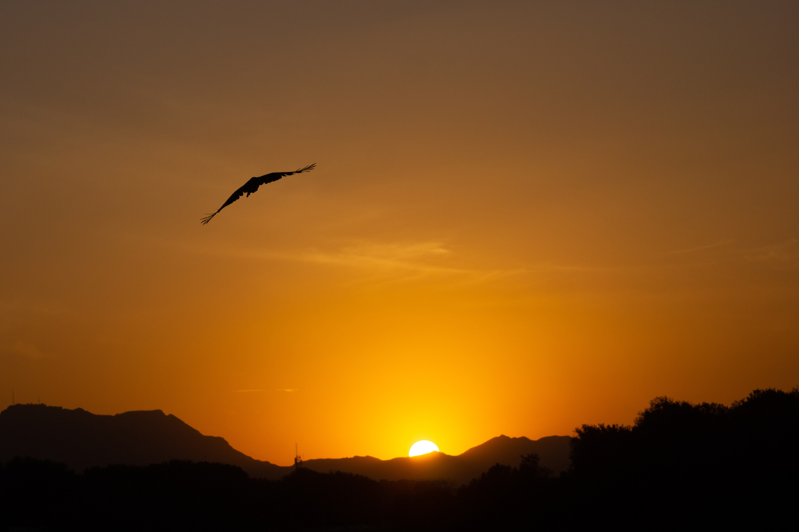 Иран. Фотограф-путешественник Самойлов Максим «Sly Fox»