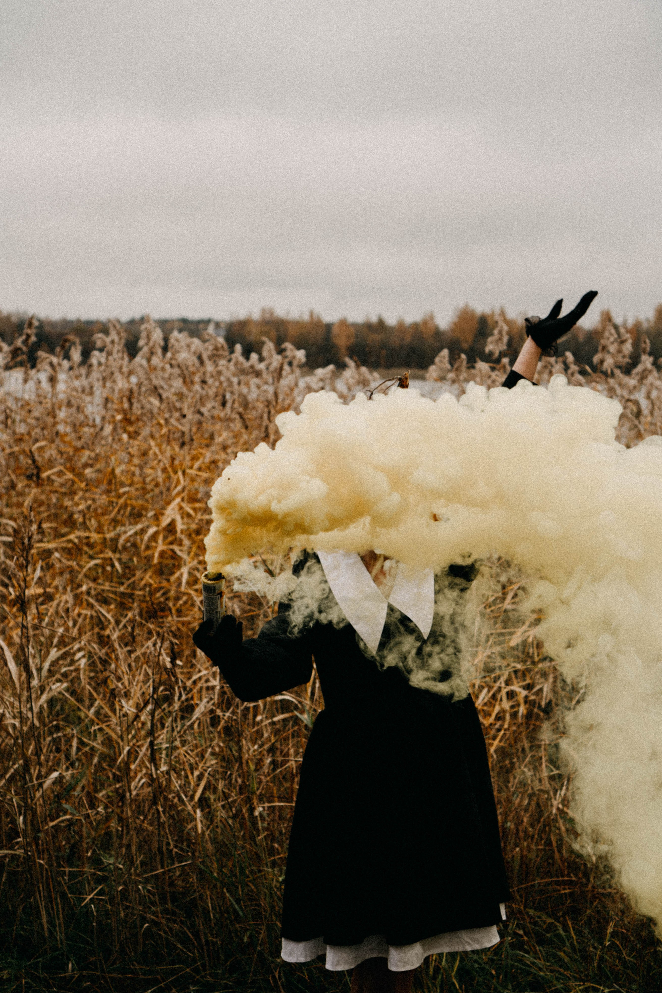 Осеняя. Профессиональный фотограф, Санкт-Петербург — Виктория Богомолова