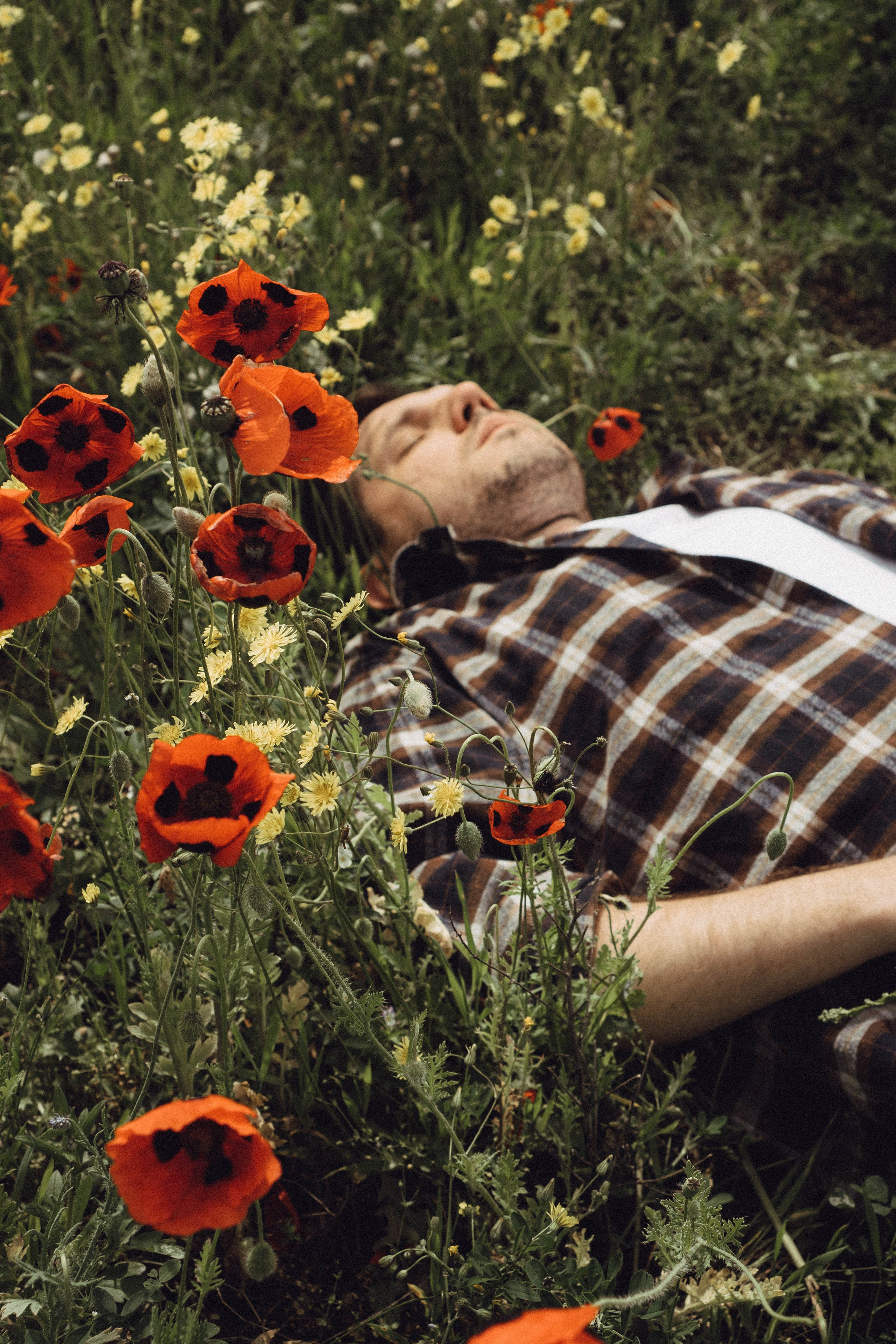 Маки. Профессиональный фотограф, Санкт-Петербург — Виктория Богомолова