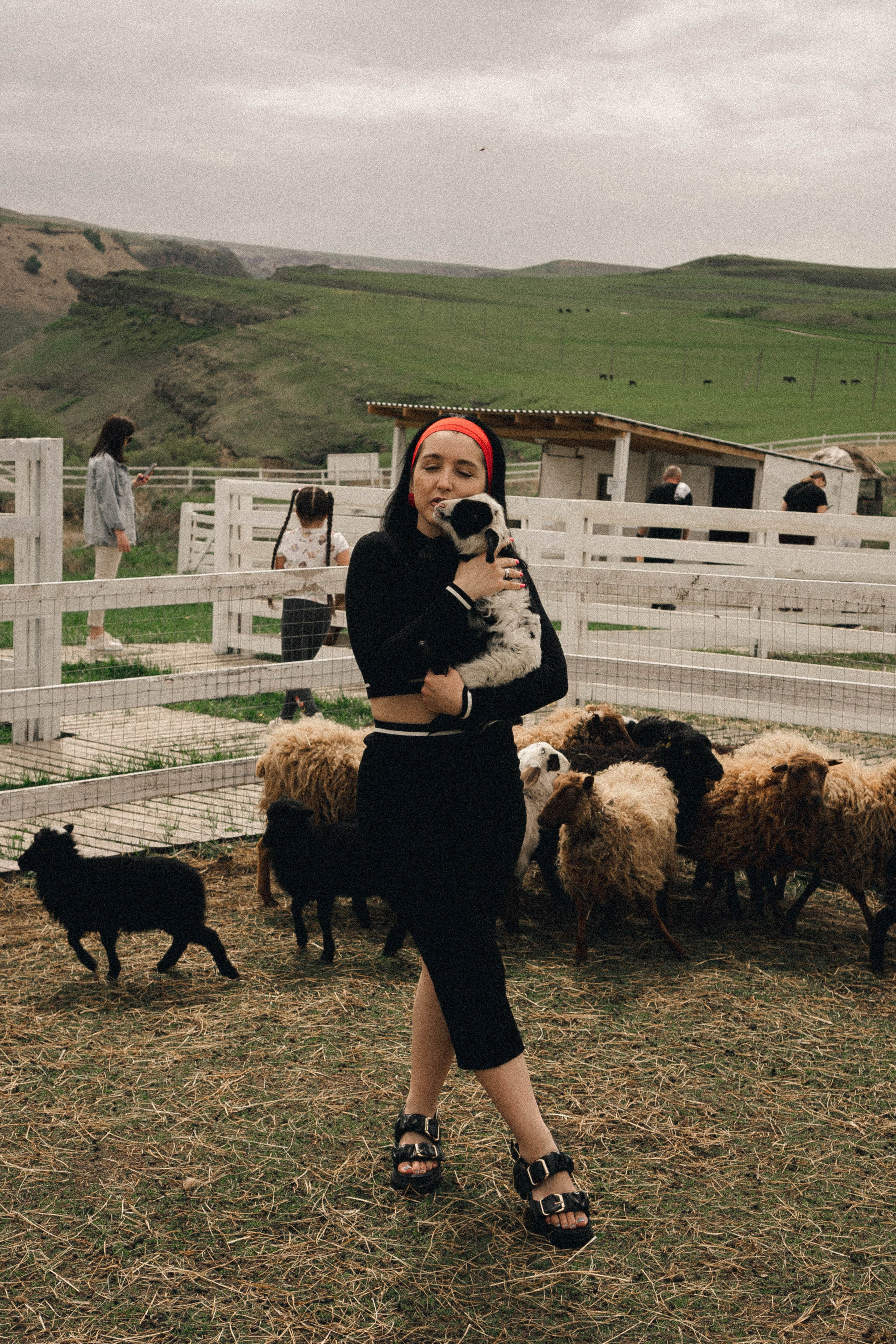 Ферма Альпак. Профессиональный фотограф, Санкт-Петербург — Виктория Богомолова