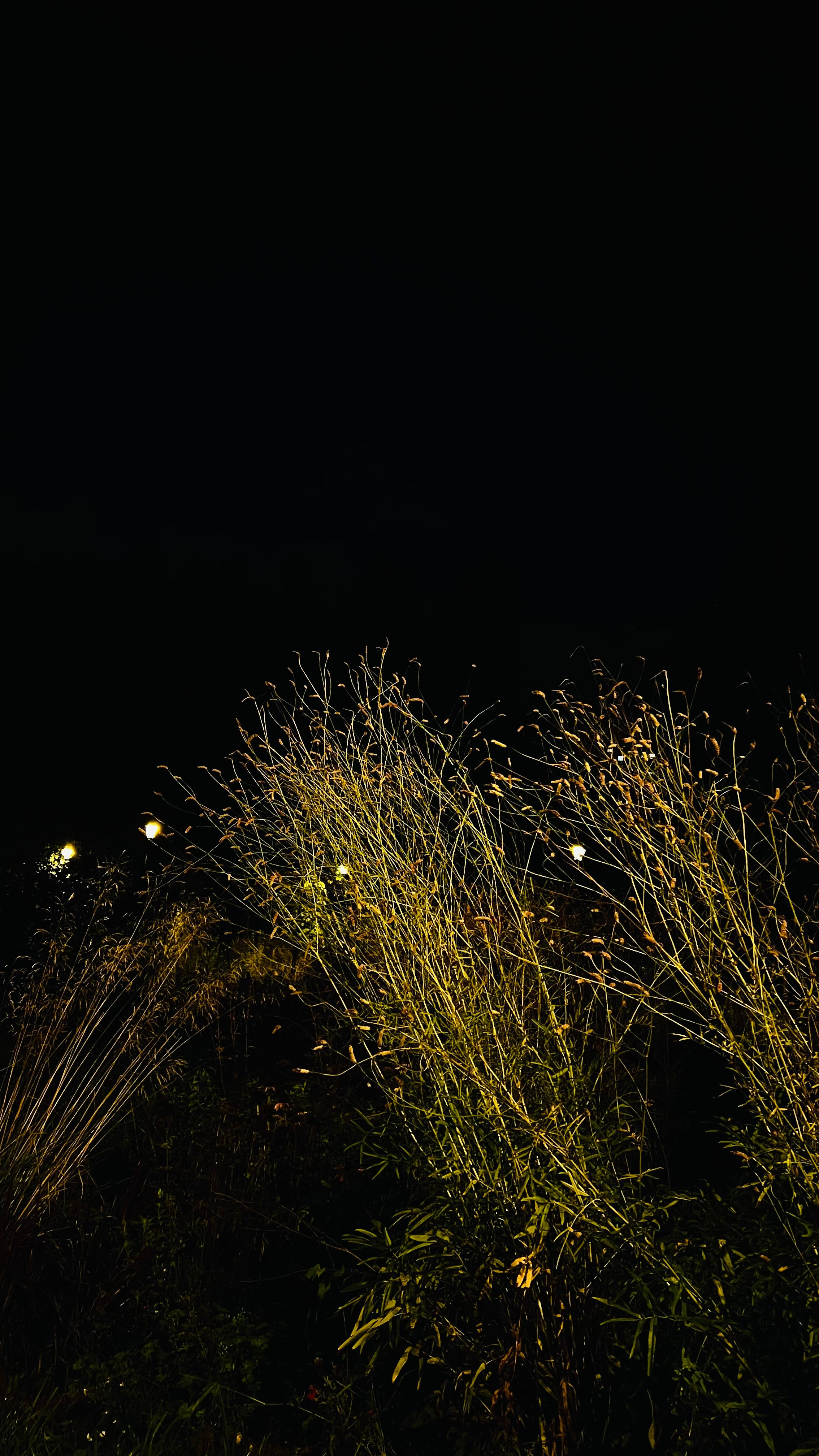 My beautiful days / Moscow 2024. POLINA MÔMOT