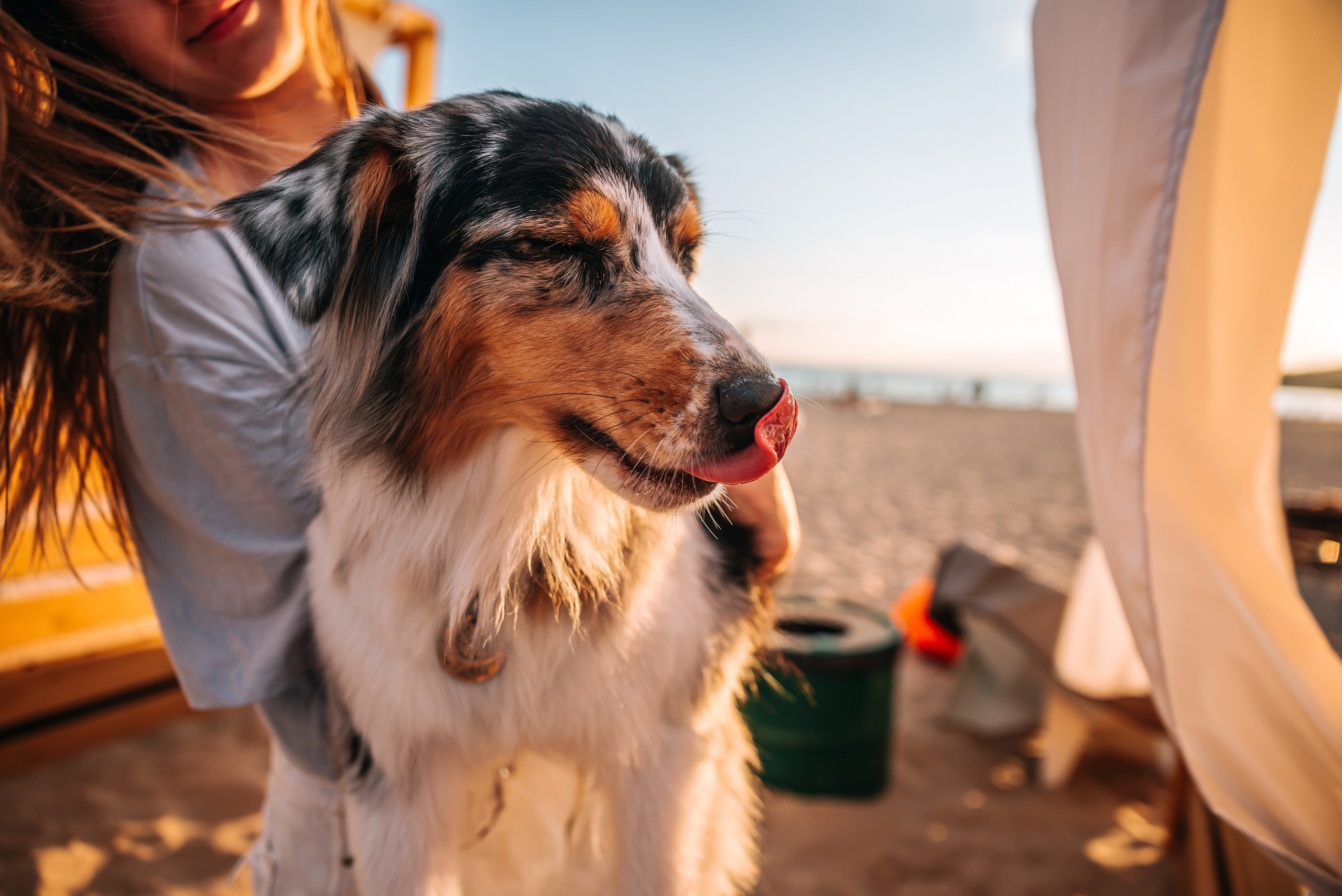 No Bad Days. Главная