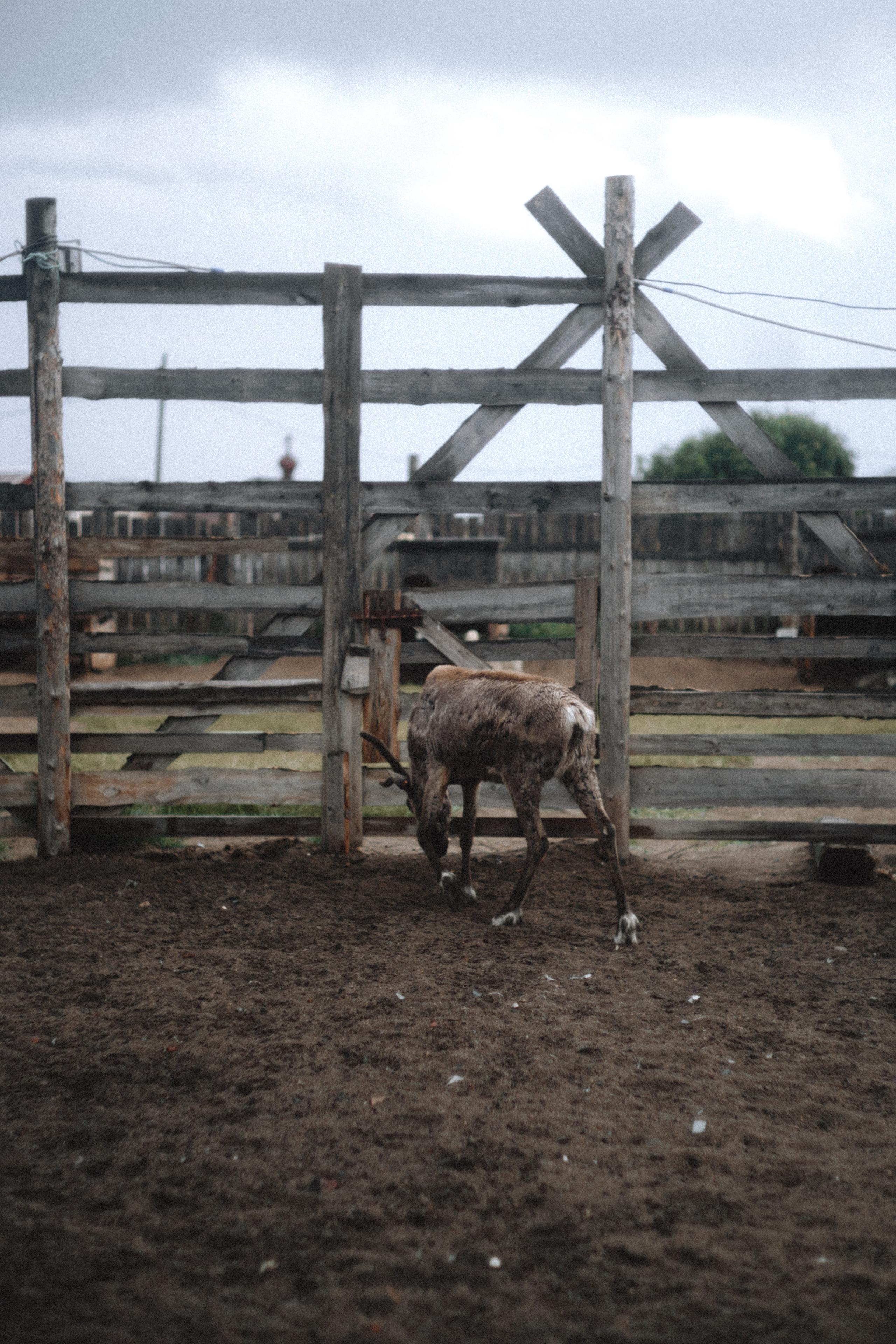 Териберка, Мурманск. Фотосъёмка для компании по организации туров в коллаборации с Яндекс 360