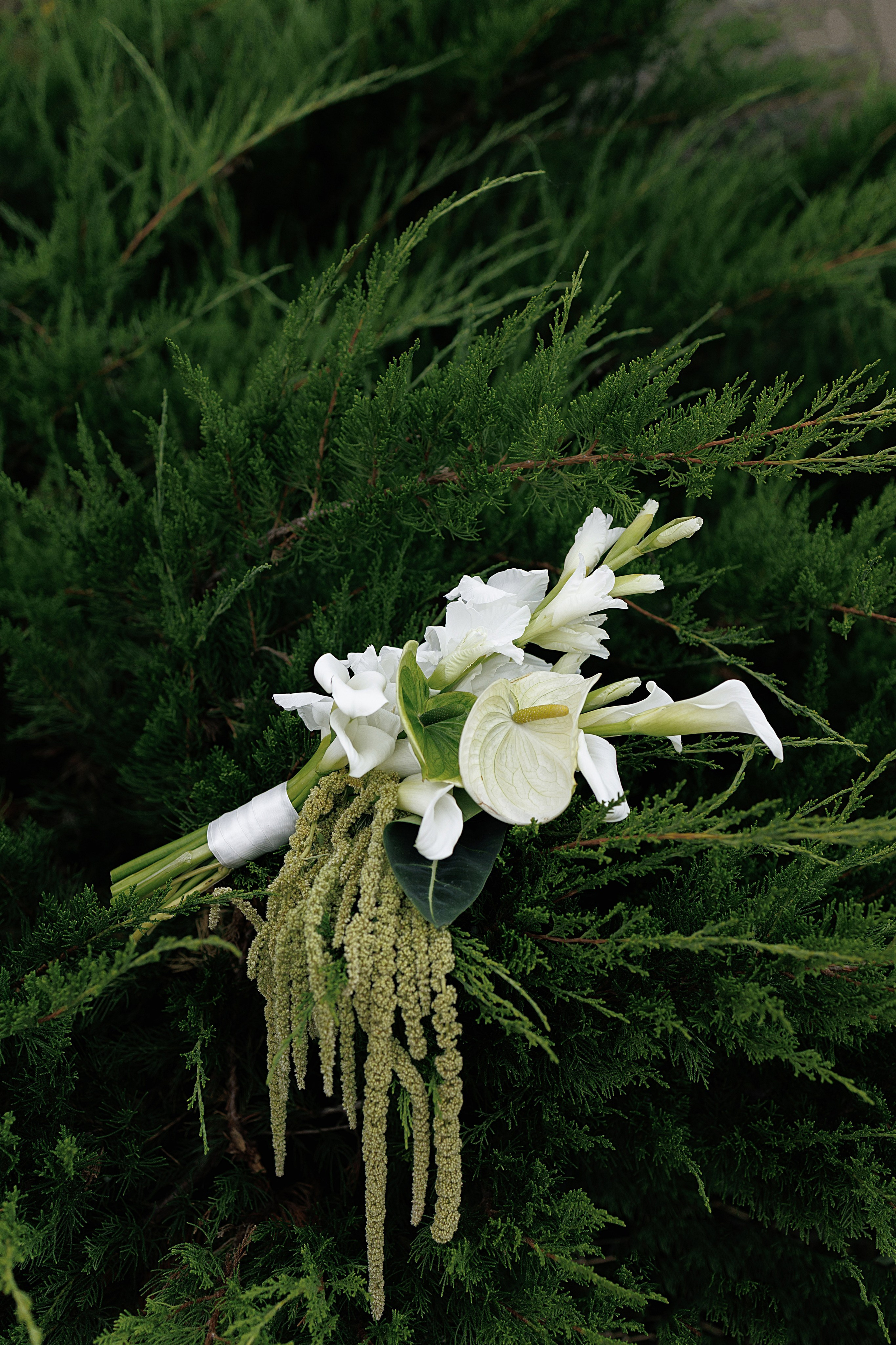 Дмитрий и Мирослава. Свадебное агентство «LUKHMANOVA.Weddings&Events»