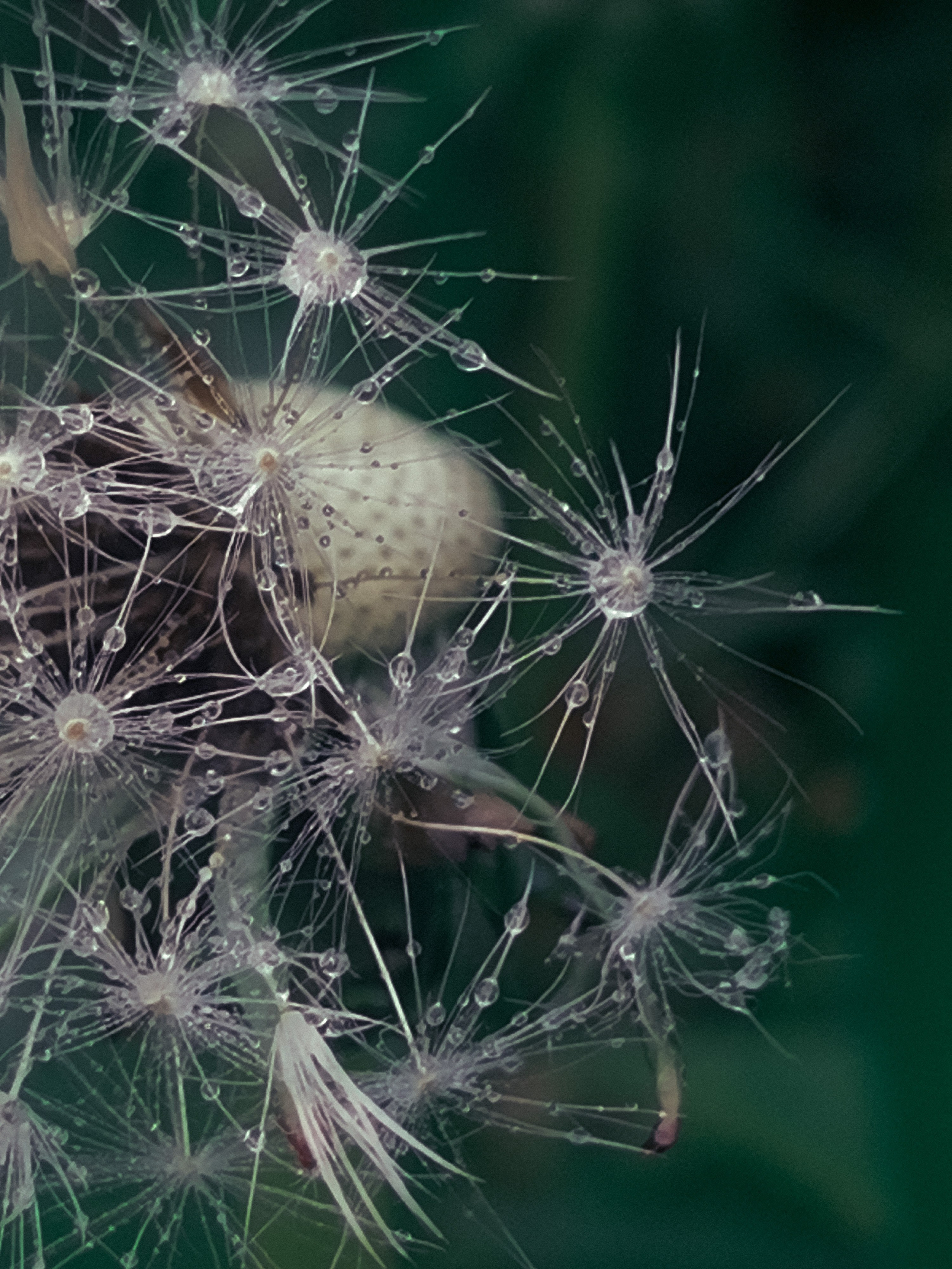 Фотошкола Таты Пахомовой. Творческая Таты Пахомовой
