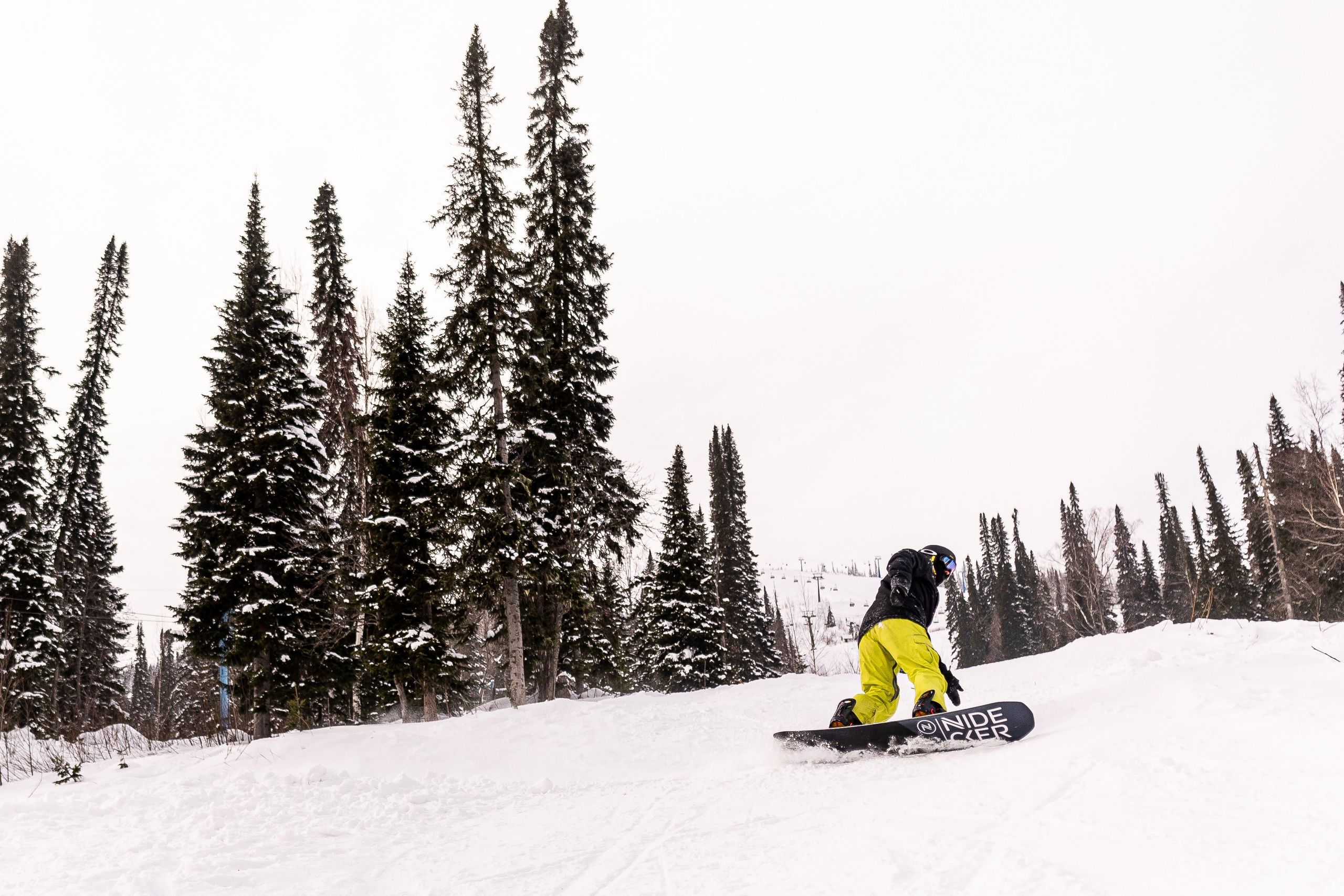 Джой 13.12. Анастасия Паршукова — фотограф Шерегеш Новосибирск