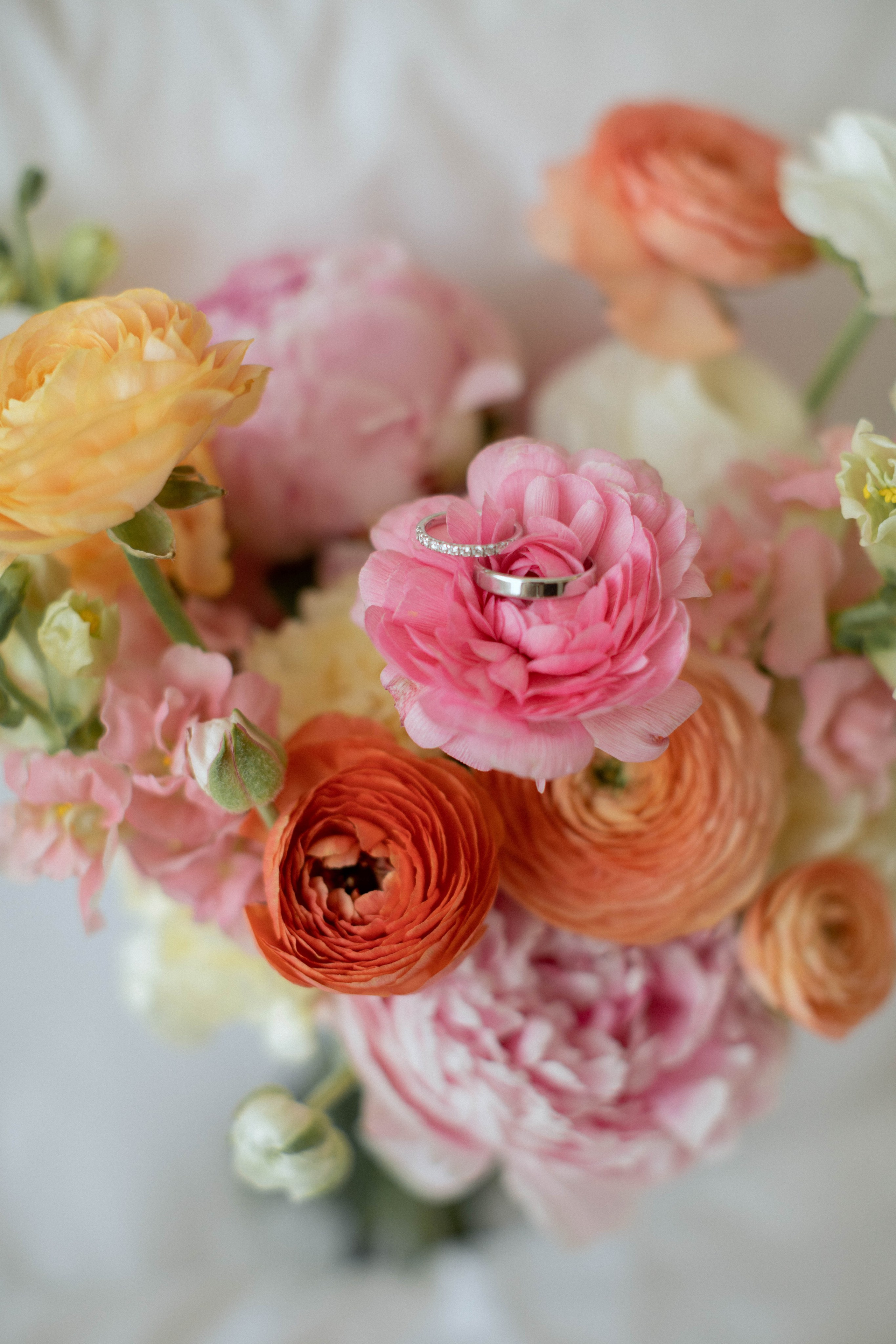 Павел | Софья (г. Глазов)