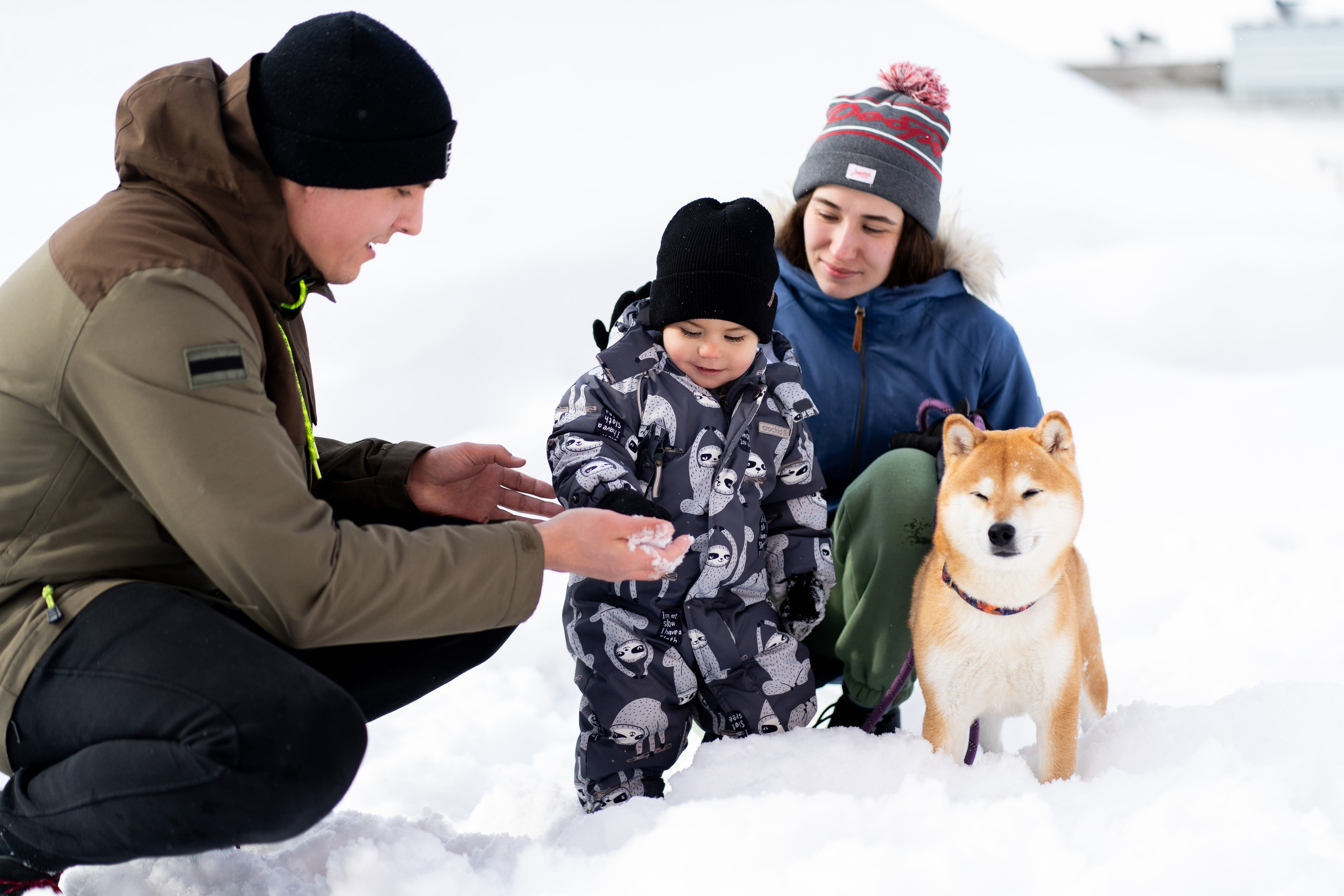 Соня&Лёня. Анастасия Паршукова — фотограф Шерегеш Новосибирск