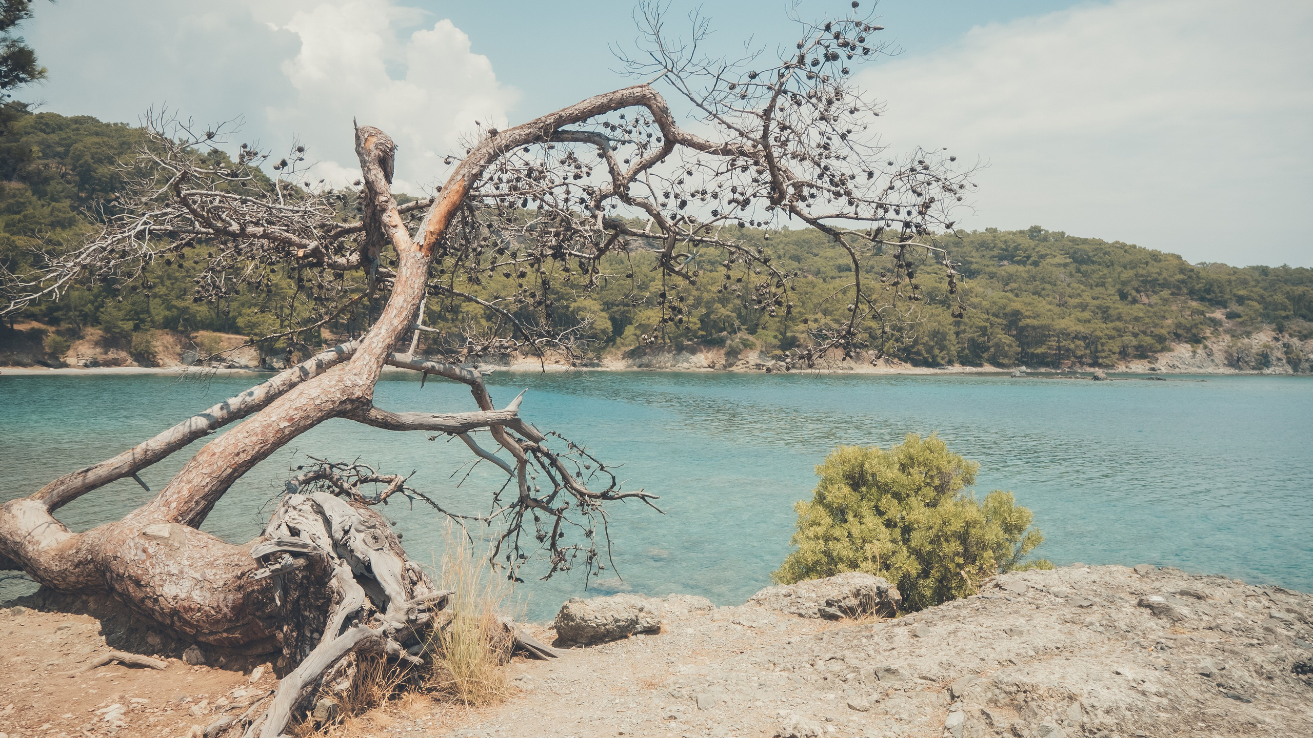 Турция. Свадебный фотограф Копков Геннадий
