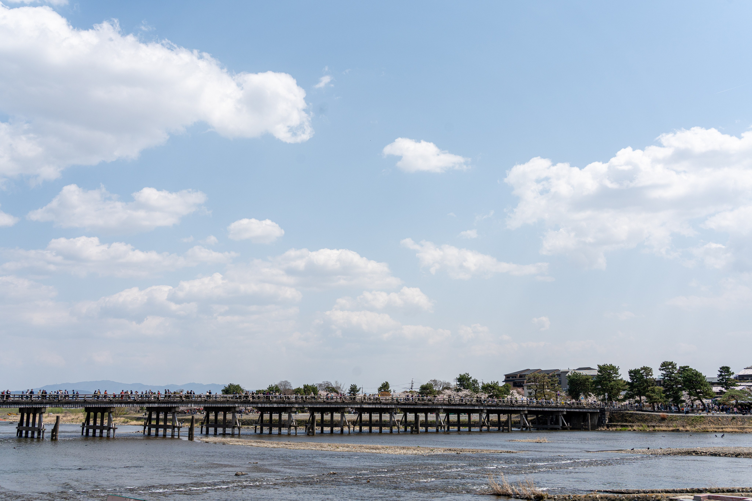 Япония, сакура. Творческие сьемки