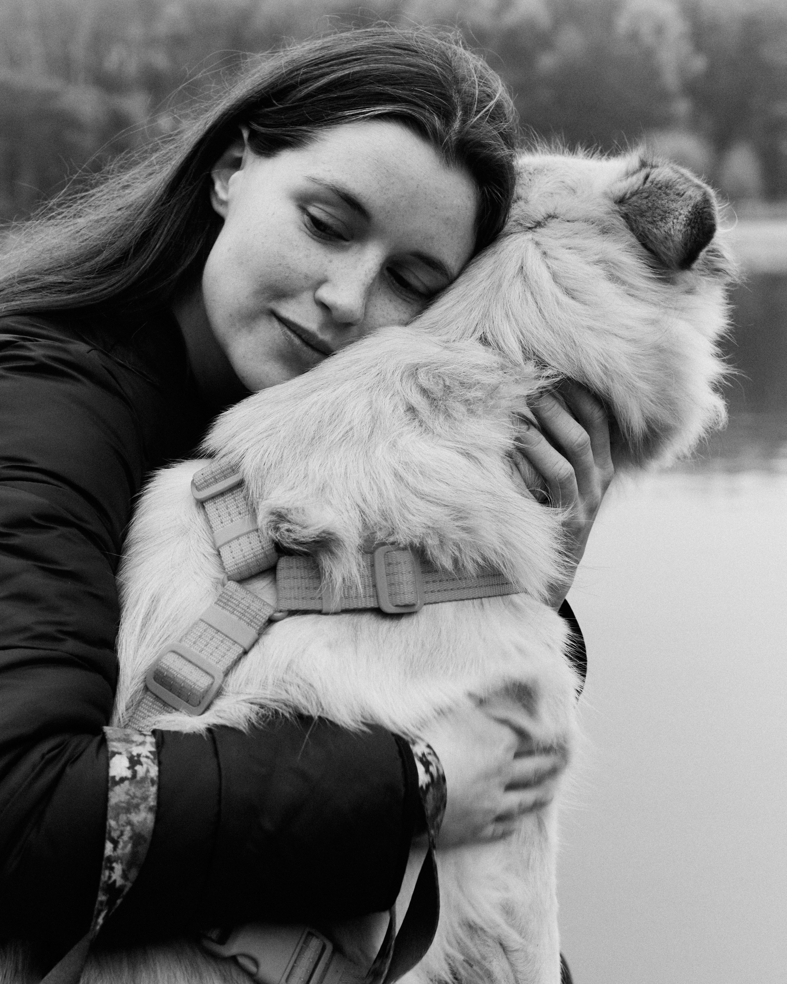 С животными. Главная