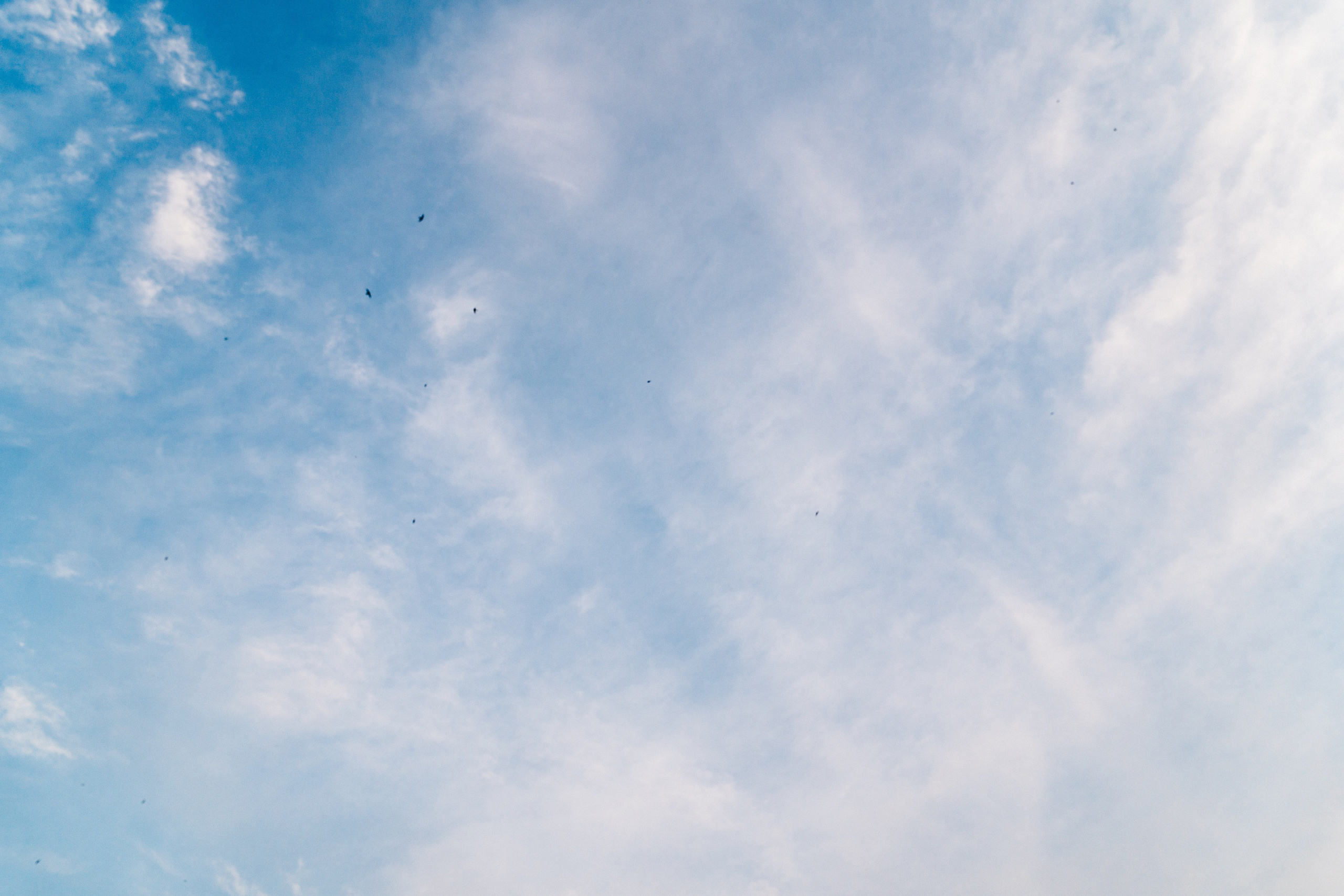 FEDUK. Фотограф в Воронеже Ольга Космодемьянская