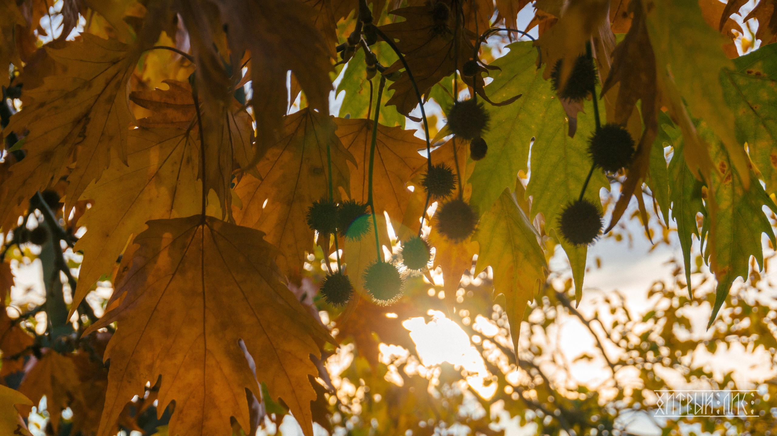Турция. Ликийский путь. Фотограф-путешественник Самойлов Максим «Sly Fox»