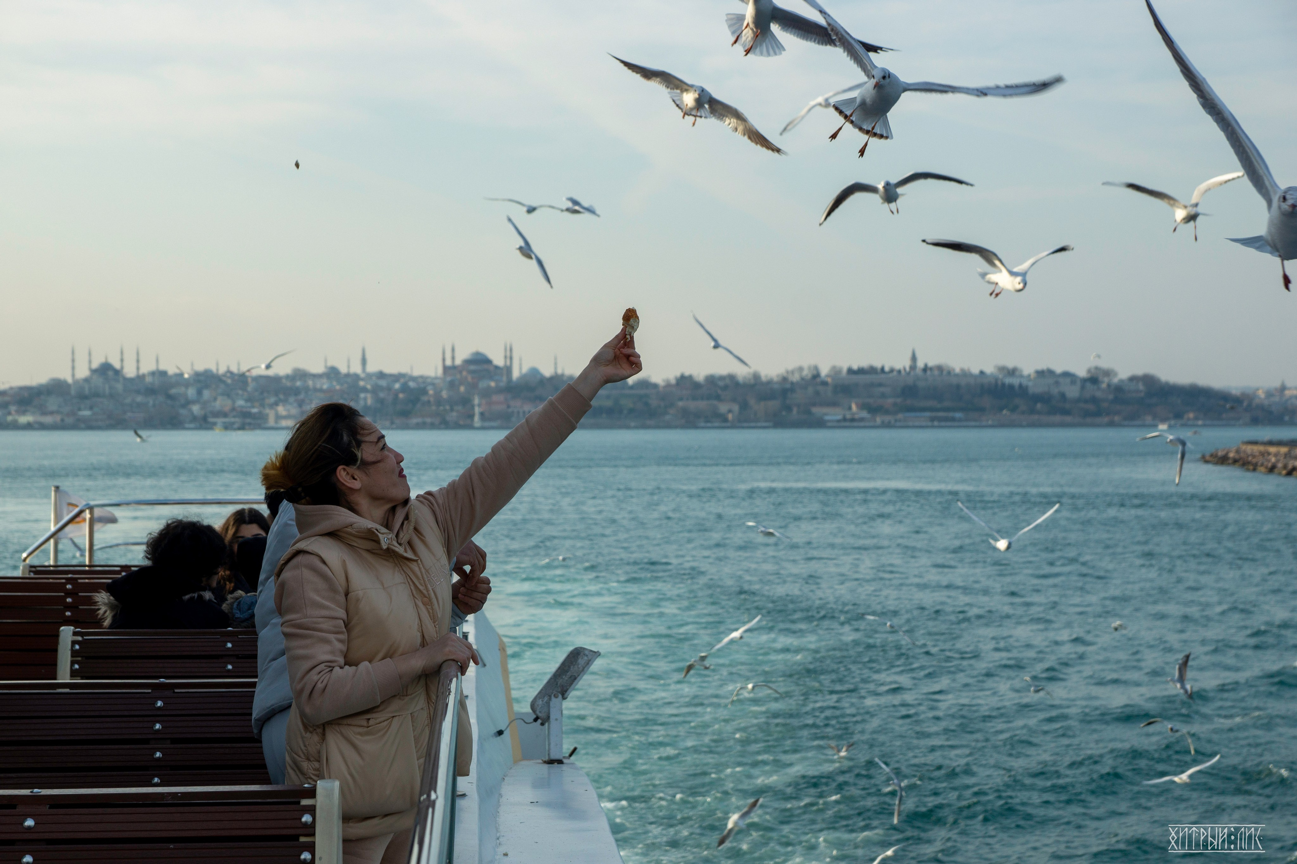 Стамбул. Фотограф-путешественник Самойлов Максим «Sly Fox»