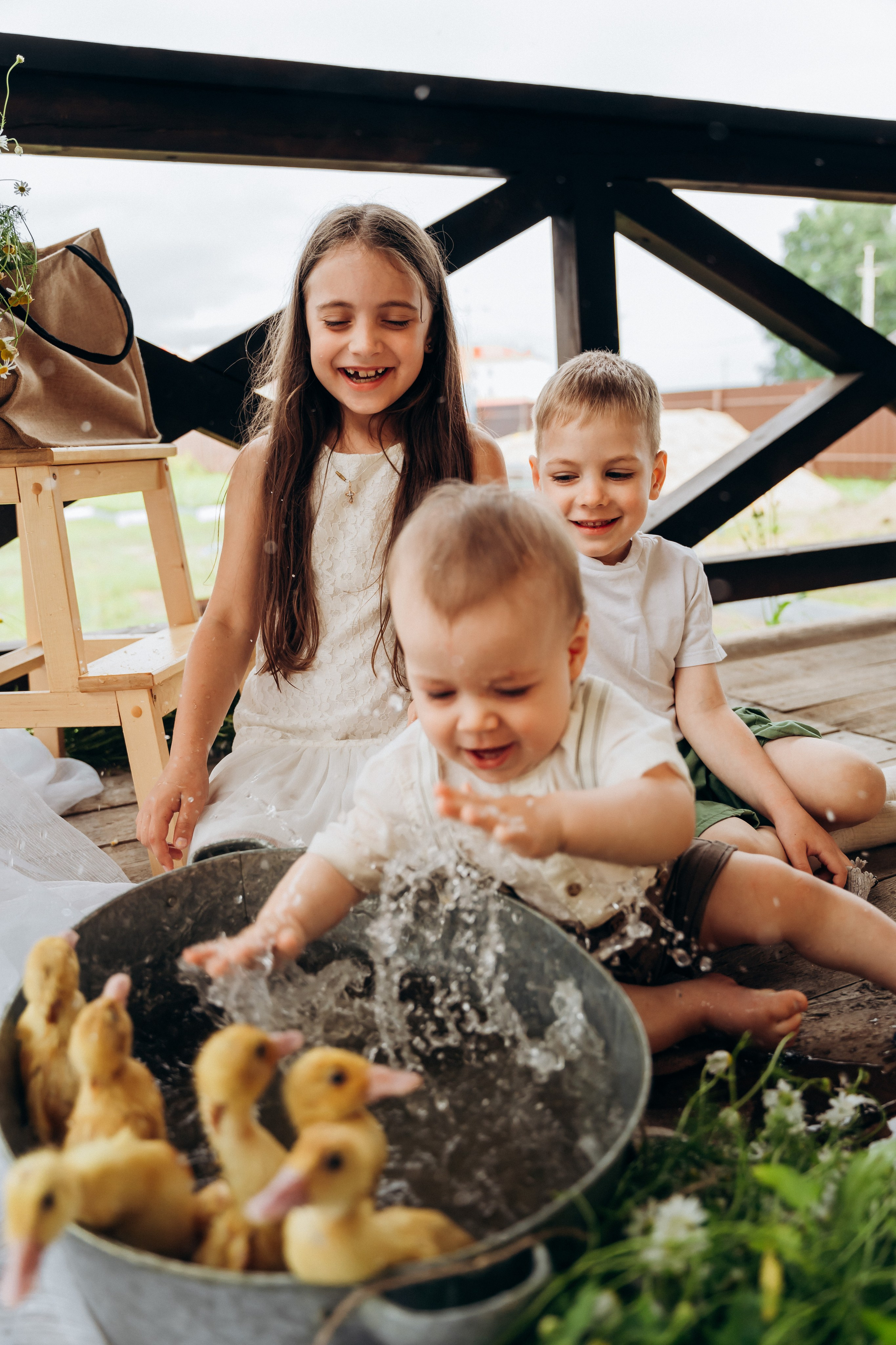 Утята. Главная