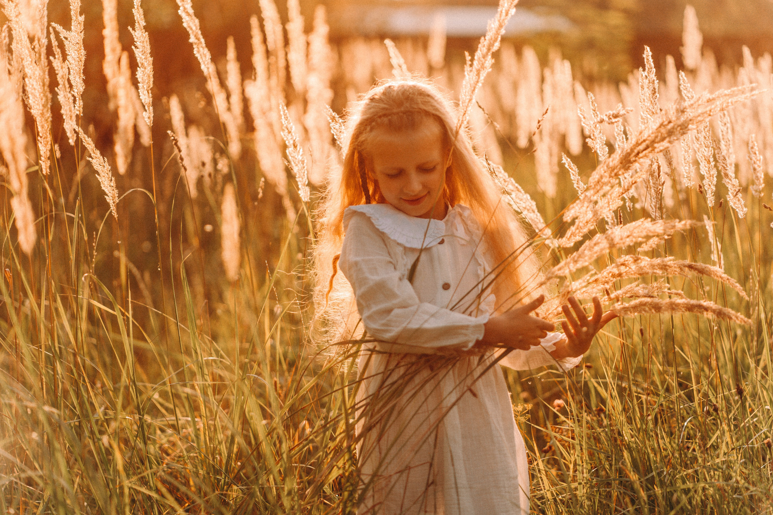 Летнее золото в волосах. Главная