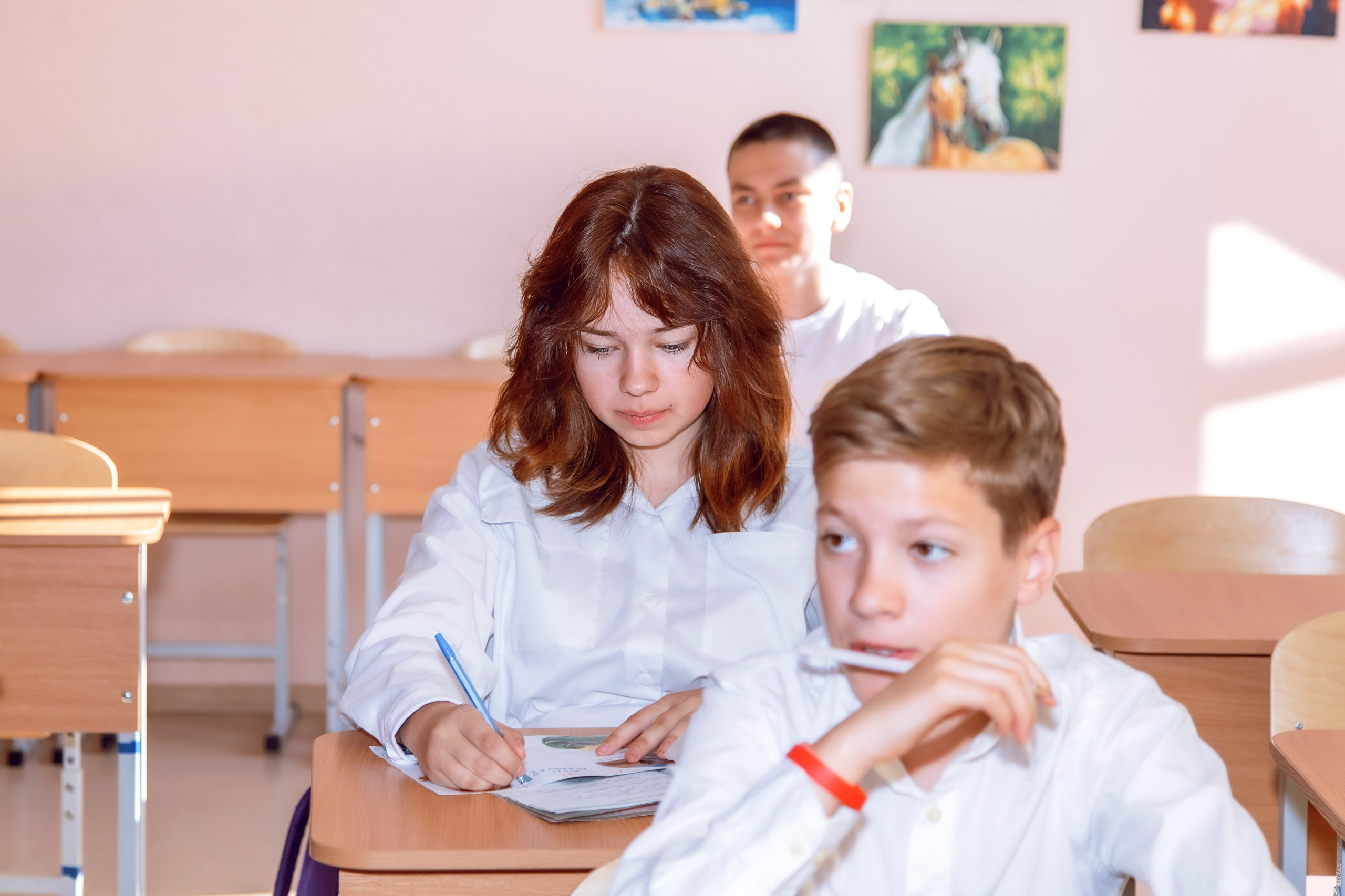 СТАРШИЕ КЛАССЫ. Фотограф Алина Лебедь