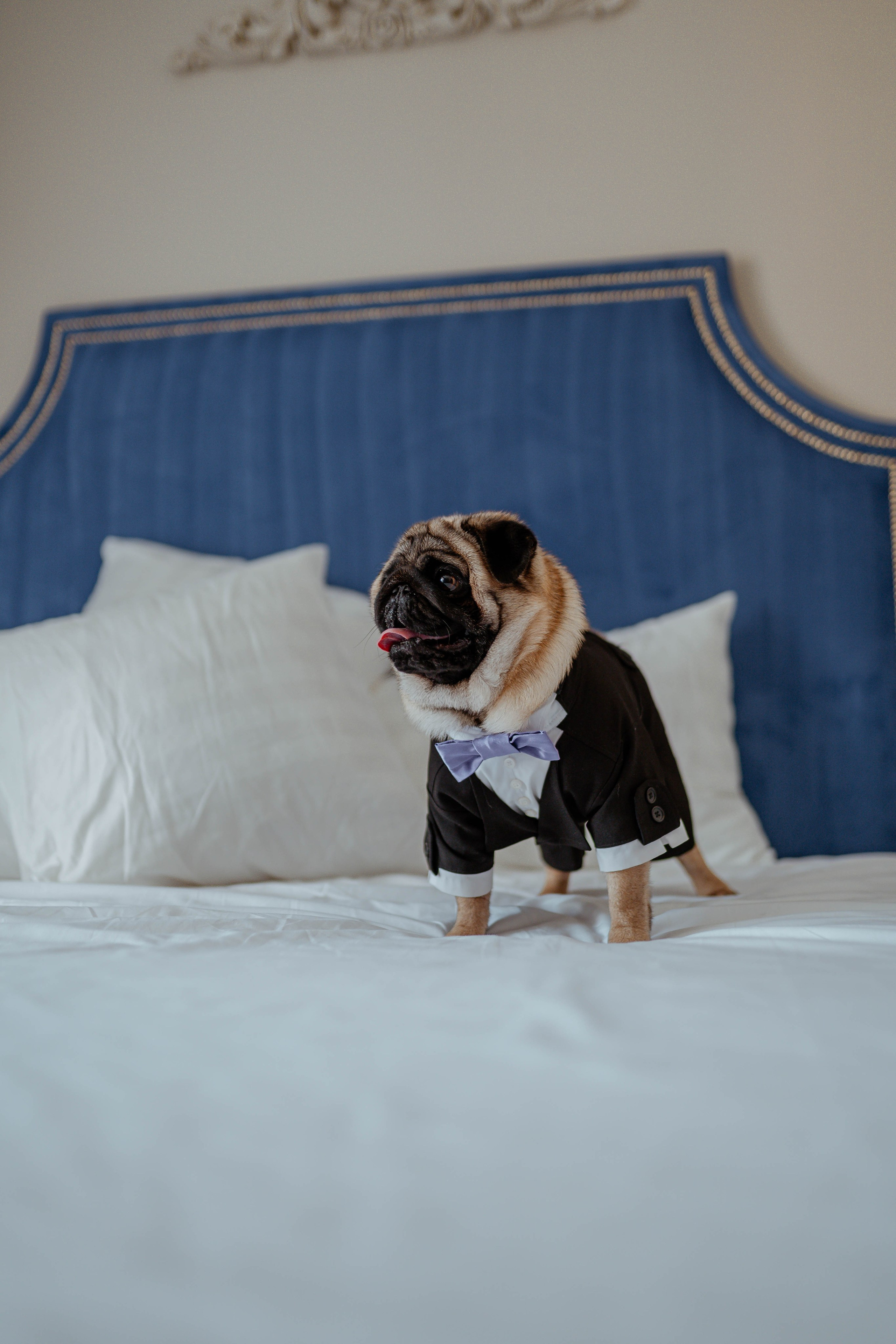 C'era una volta luglio. Love & Live photographer Злата Акимова