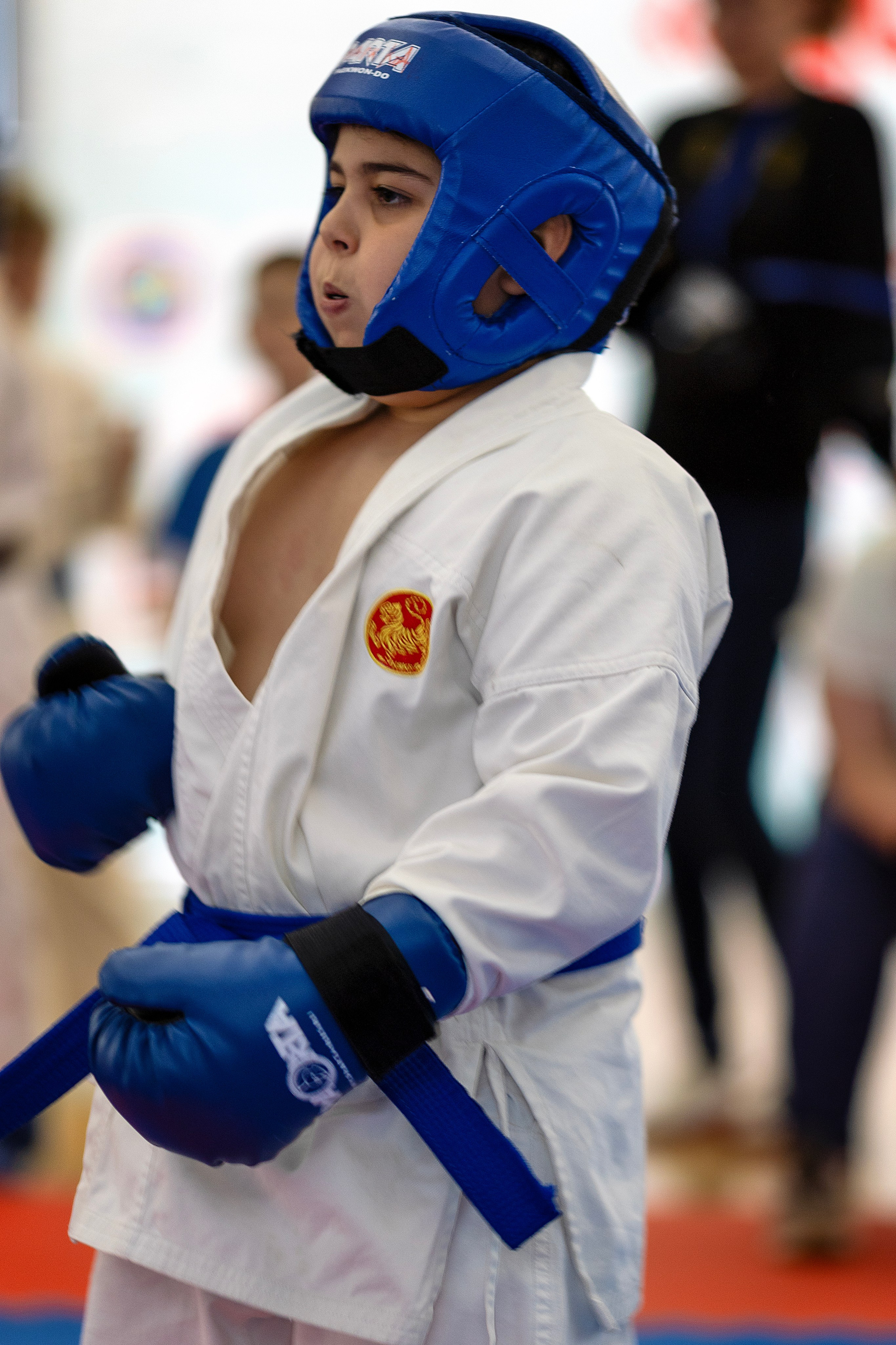 Фото турнира по Тхеквондо, проводимого в г. Железноводске. Медиапродюсер, фотограф в Минеральных Водах —Виктор Холодов