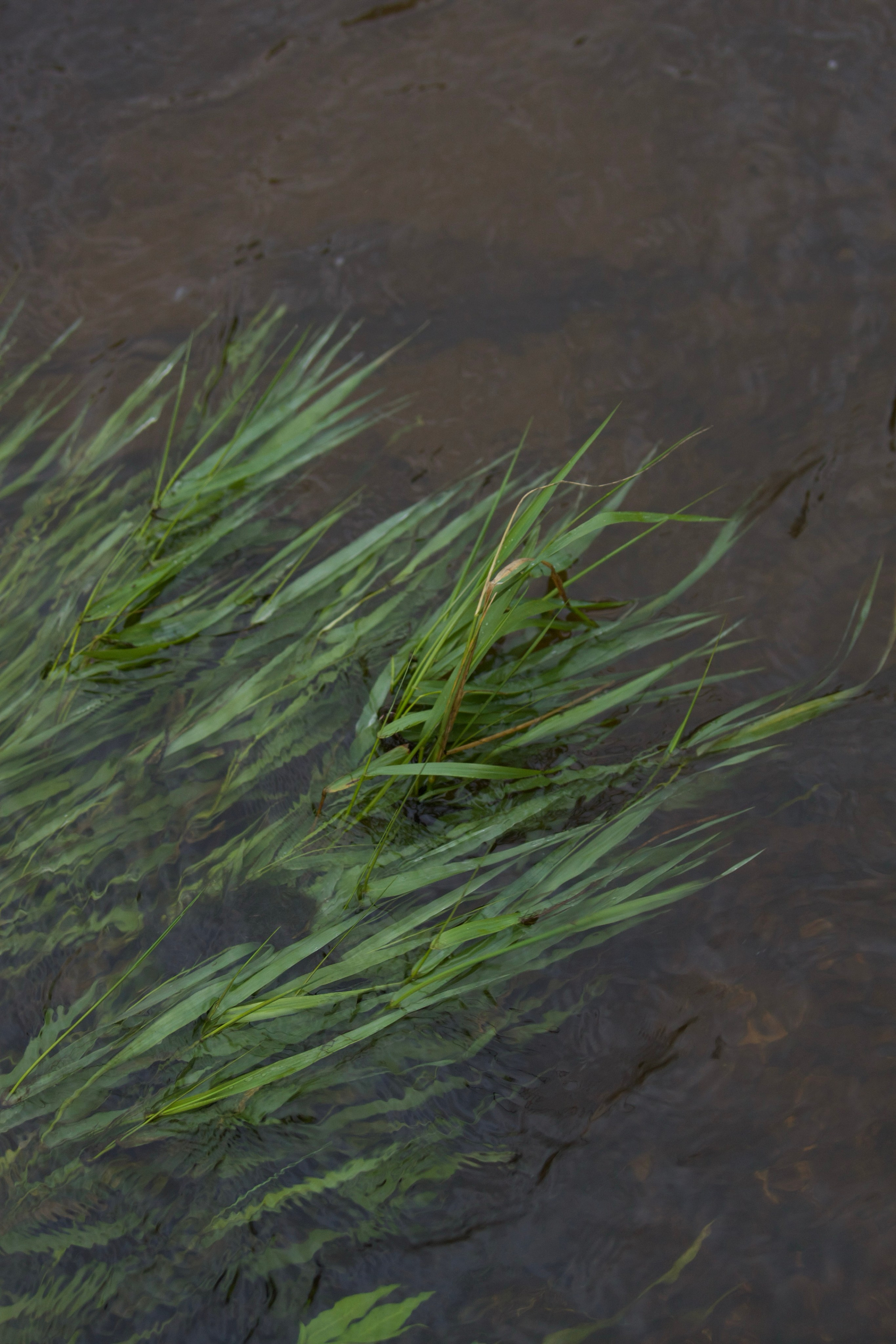 Настенька и река. Фотограф Ирина Воробьева