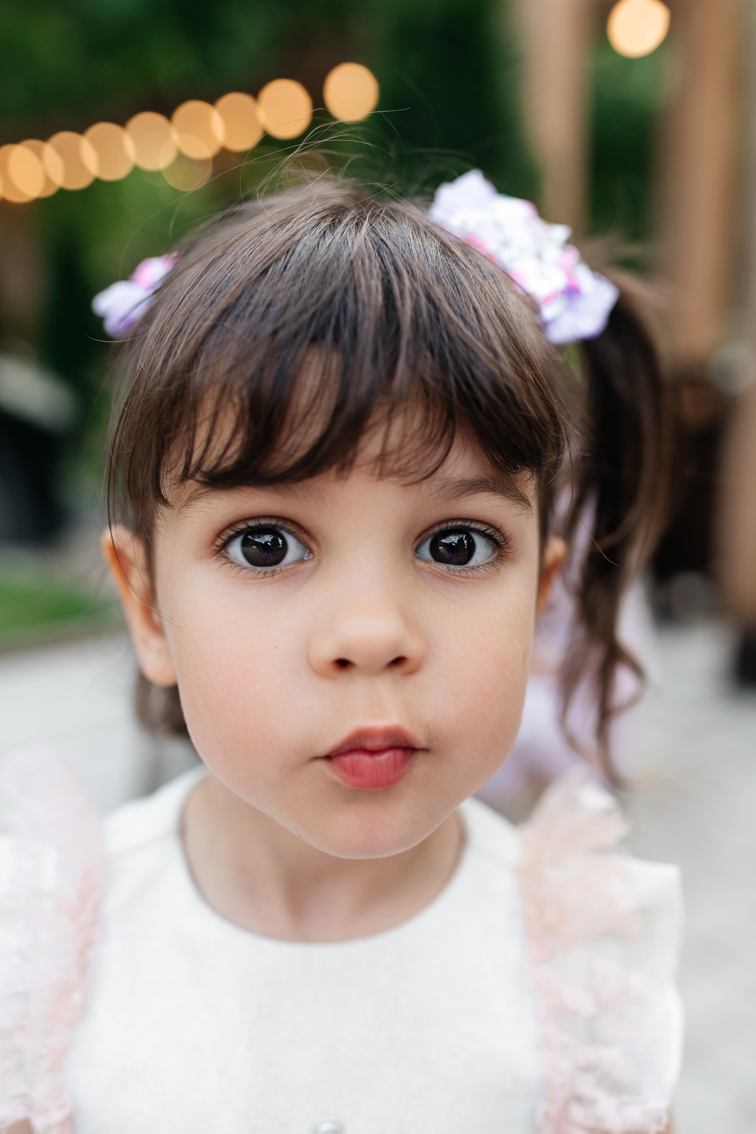 Daisies. ФОТОГРАФ