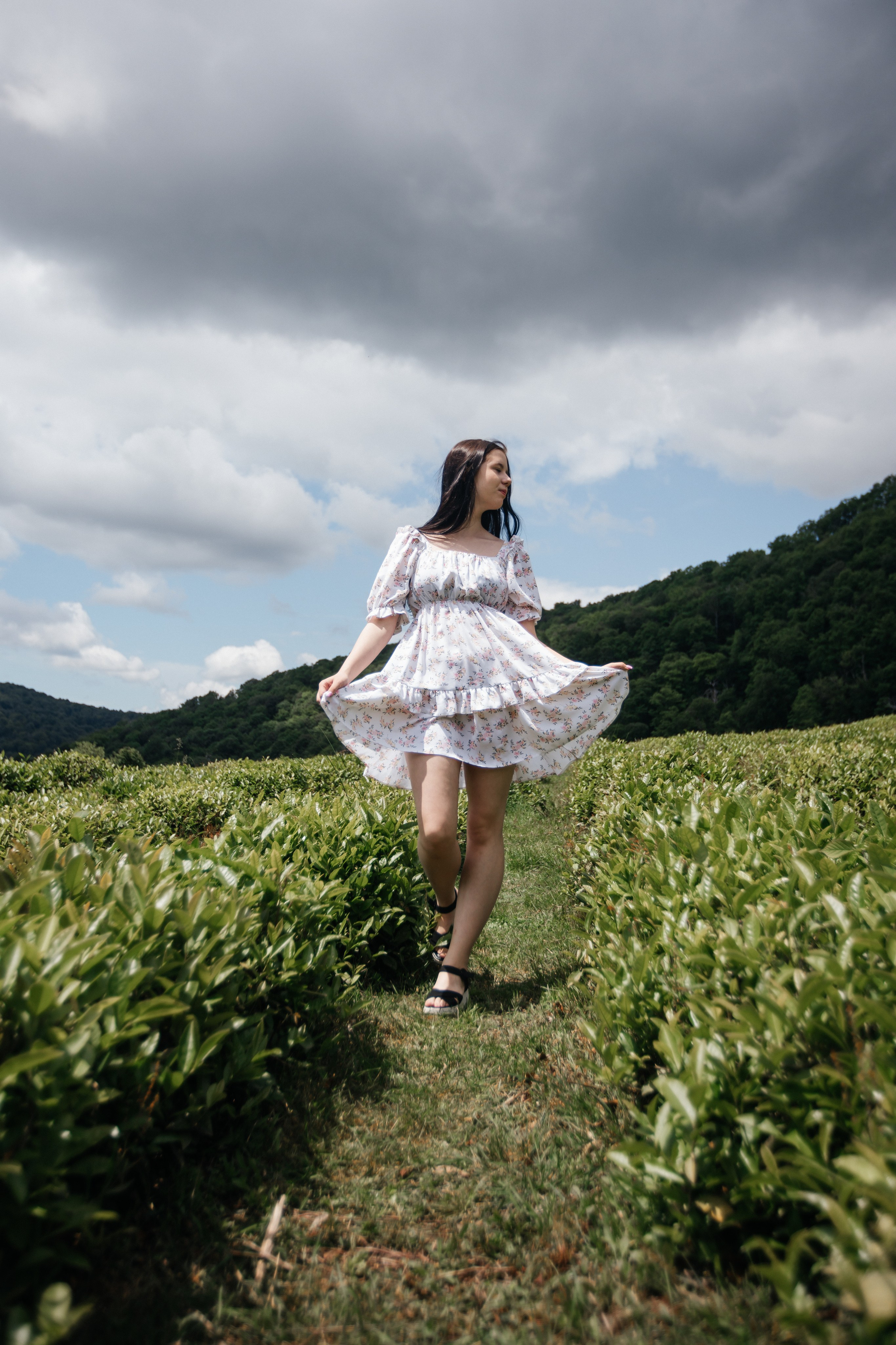 Tea plantation. Efimova Model Agency