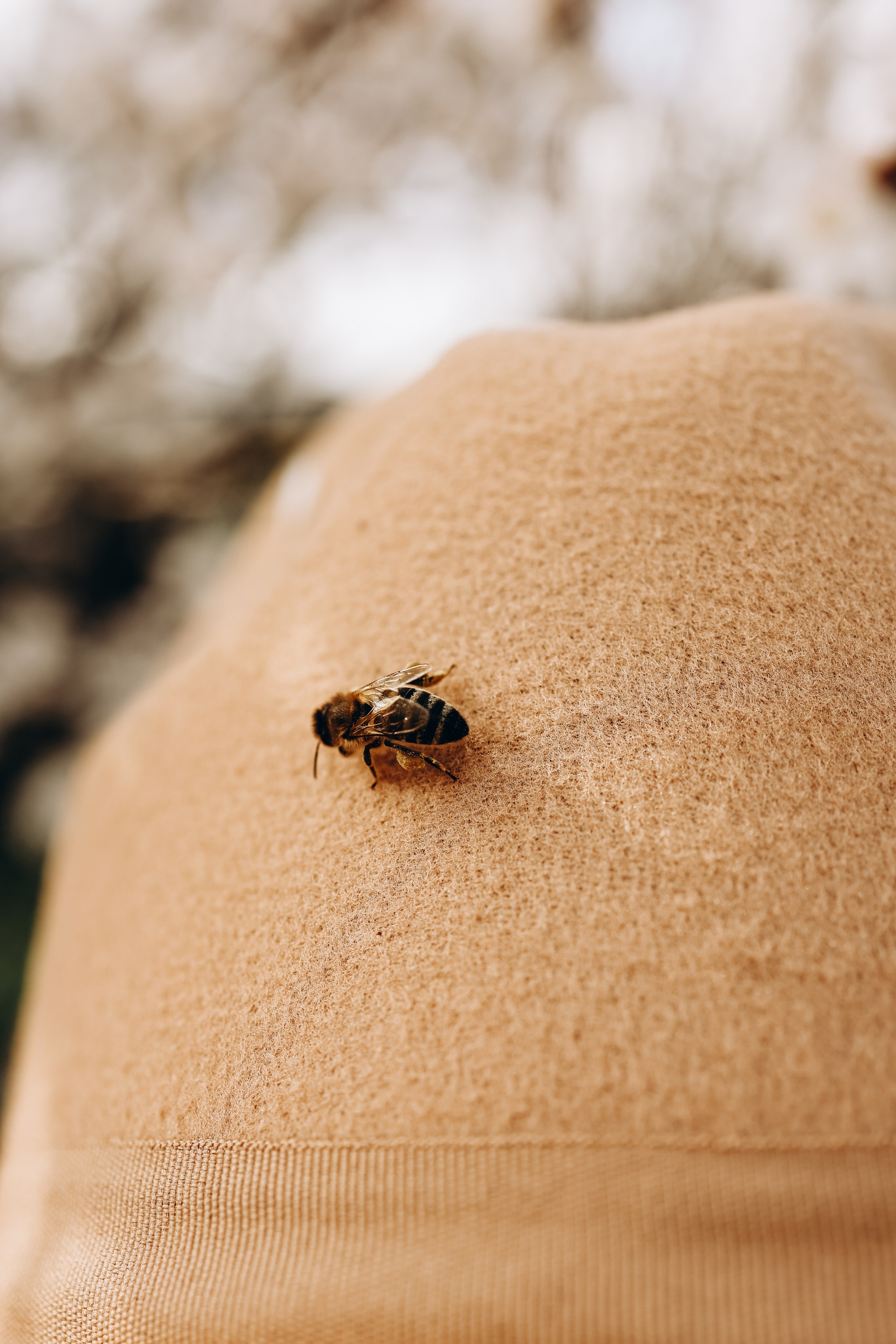 Снежана. Свадебный и семейный фотограф в Воронеже Ксения Воротникова