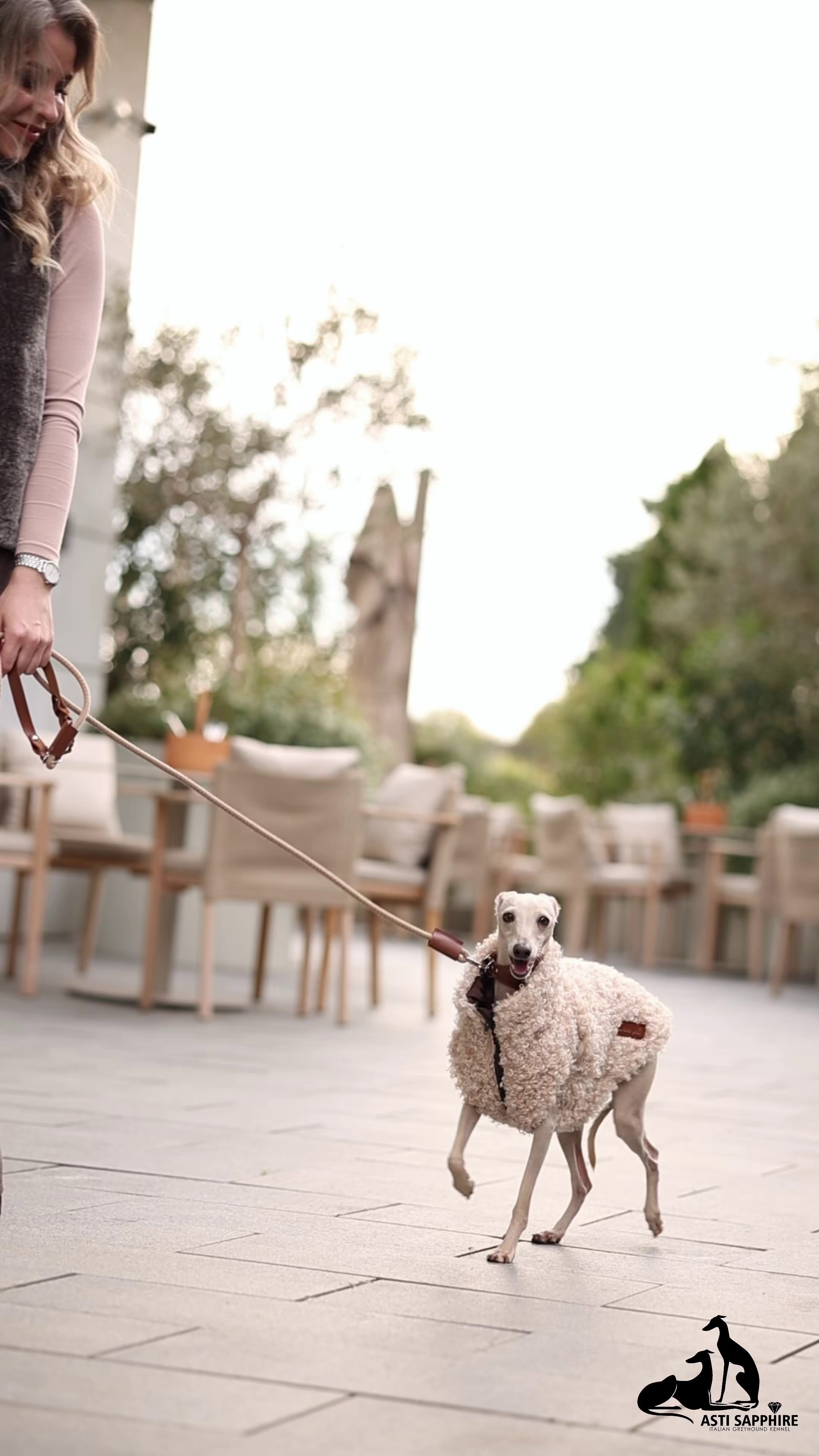 Одежда. Профессиональный питомник левреток РКФ/FCI ASTI SAPPHIRE 💎 Сочи|Санкт-Петербург