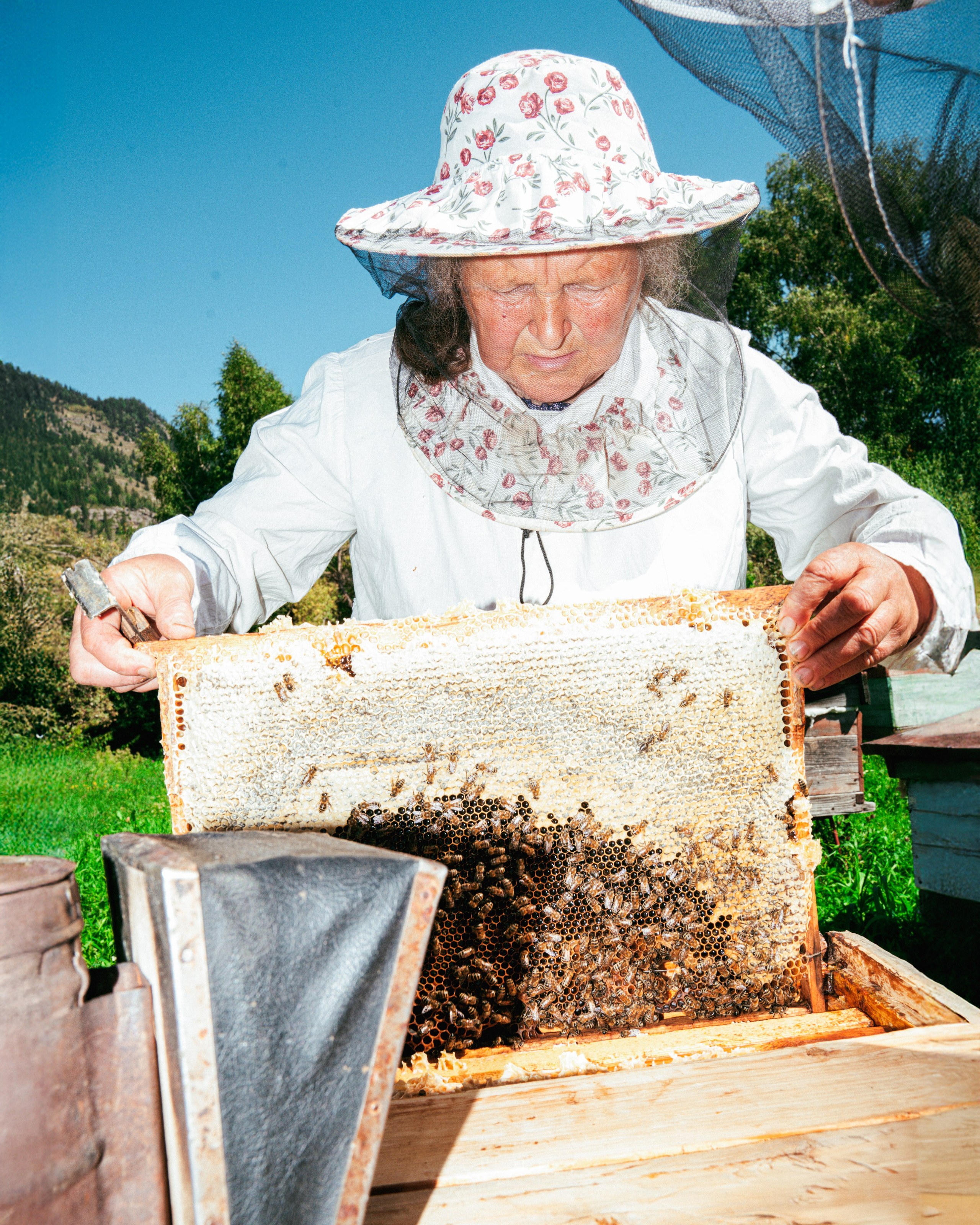 ADAMDAR. Berman Euginia