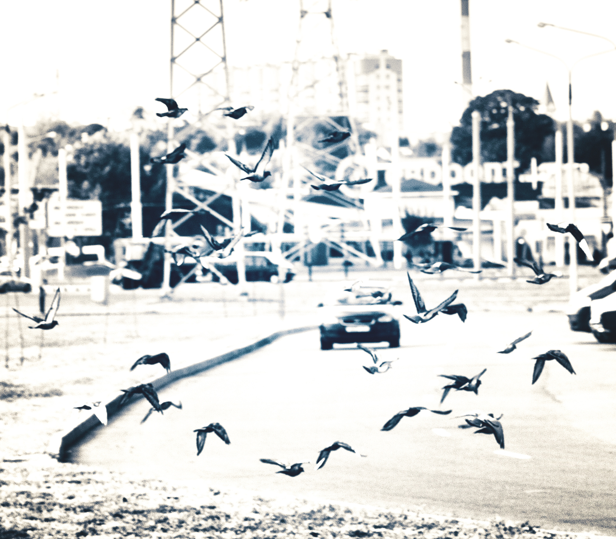 ЧБ  пейзажи (BnW landscape). Фотограф (photographer) Lischinski Vitaliy